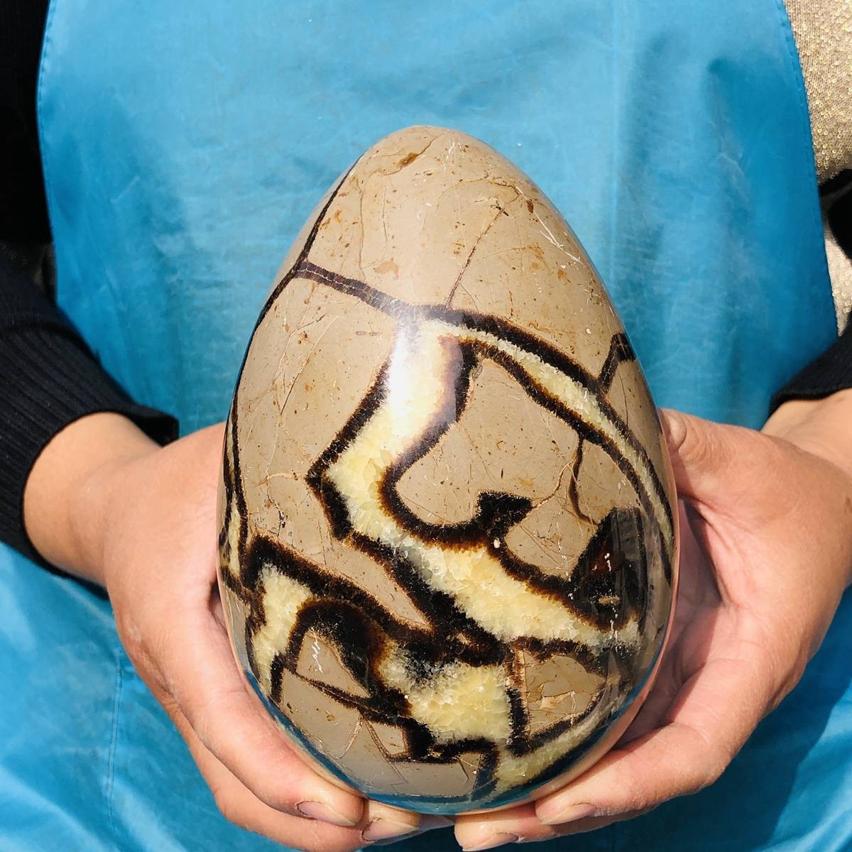 5.06LB Natural Turtle Back Stone Egg Shape Dragon Crystal Crack Healing