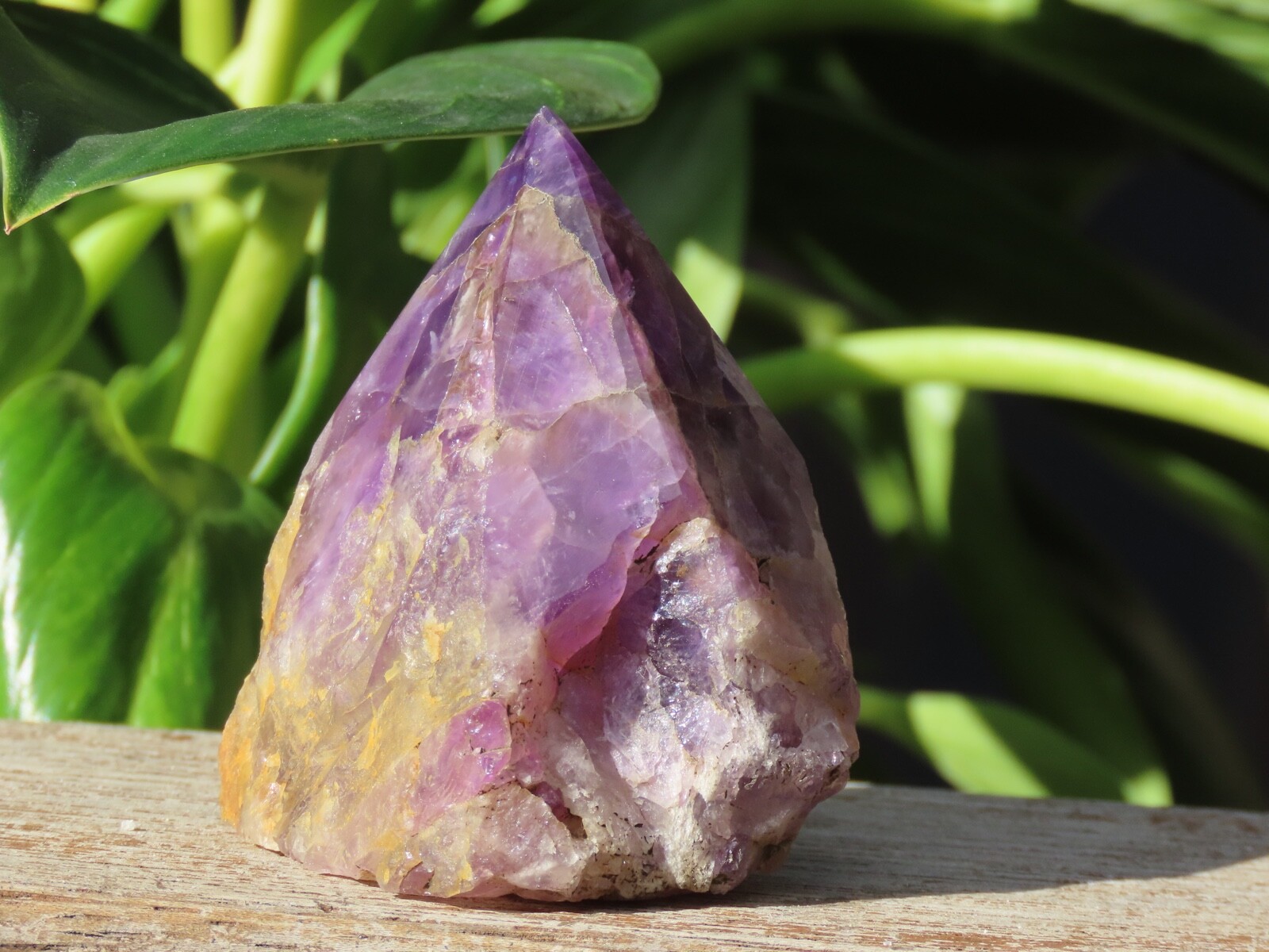 Rough & Polished Amethyst Crystal Generator Point 165 Grams