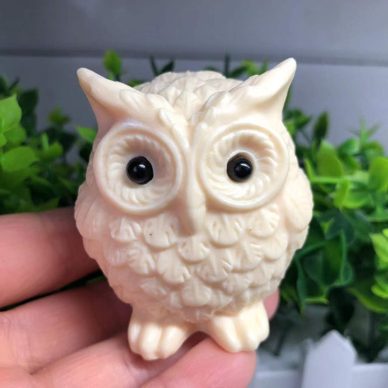 1pcs / Genuine Tagua Nut Carved Owl reiki decoration gift .