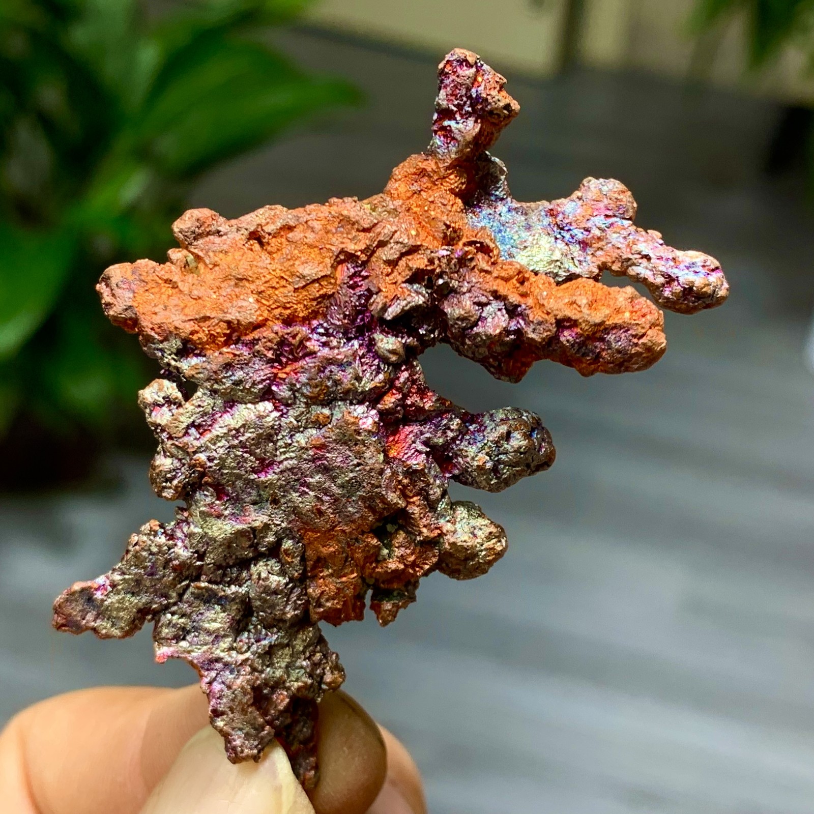 42G Rare!! iridescent Native Copper crystal mineral specimen
