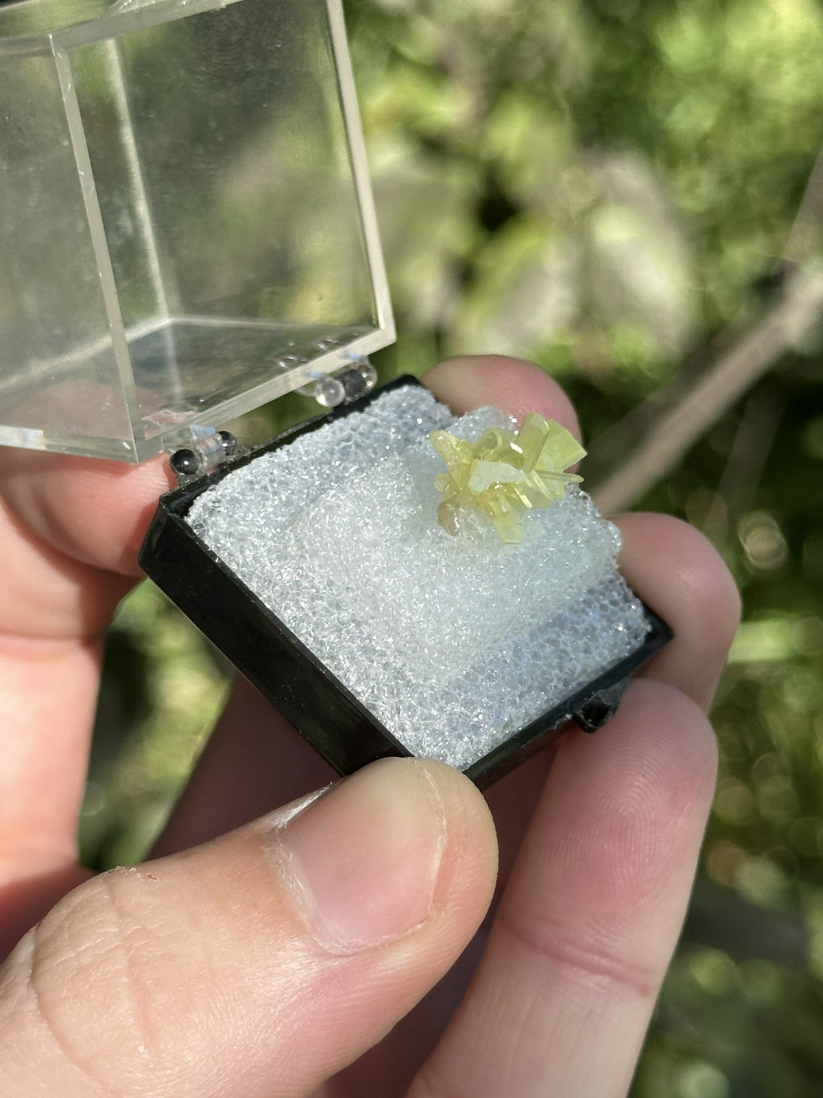 Chrome Cerussite, Dundas Extended, Tasmania, Australia. Ex Jordi Fabre
