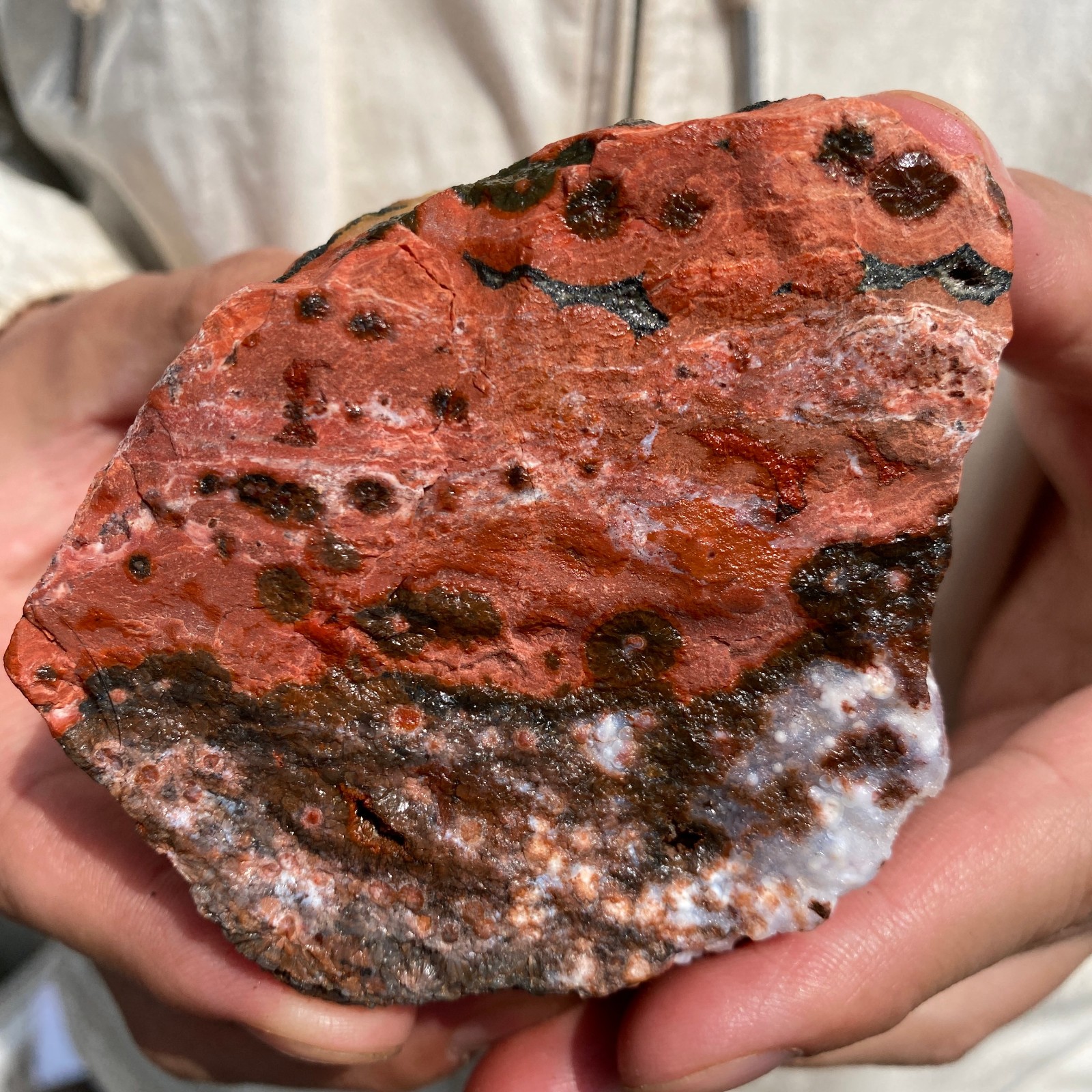 0.7lb Raw Natural colourful ocean jasper quartz crystal rough mineral specimen