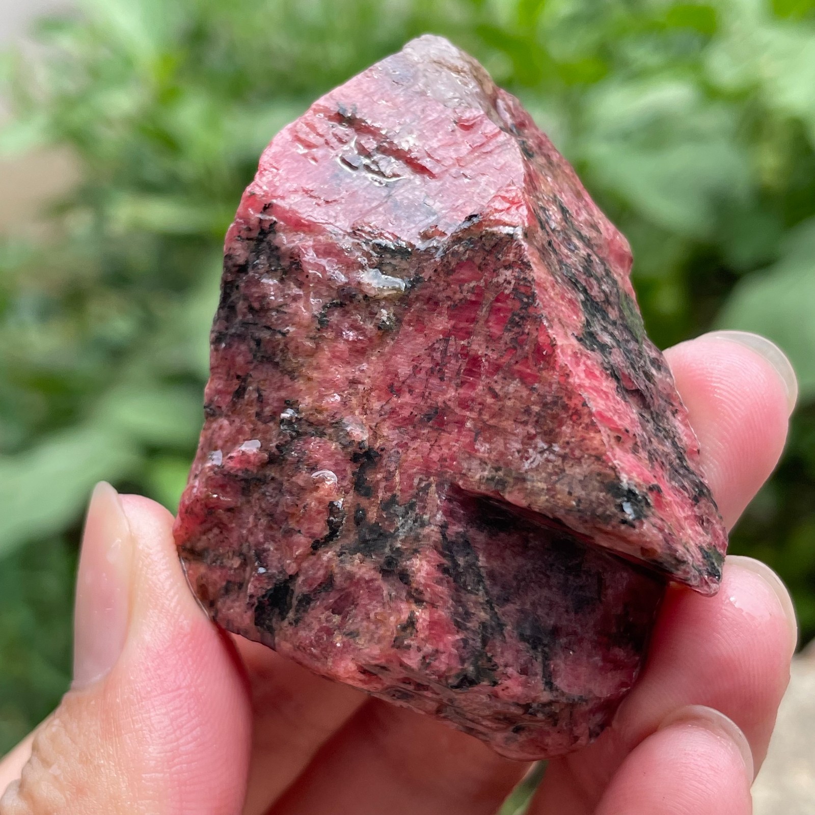 135g Small Raw Ore Red Black Rhodonite Quartz Gemstone Mineral Specimen