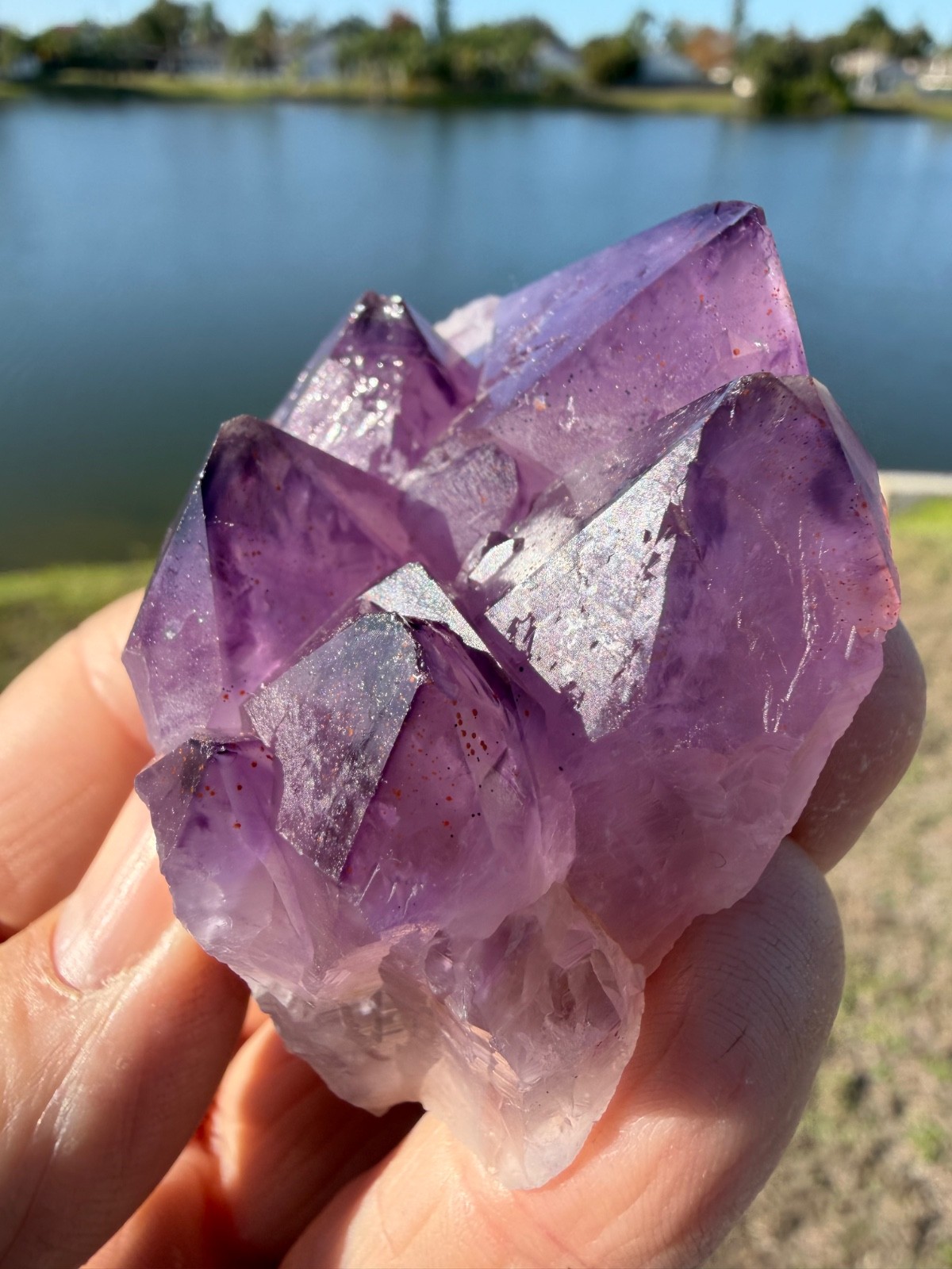 Rare Auralite 23 Crystal Multi Cluster Point from Canada 114 grams 2″