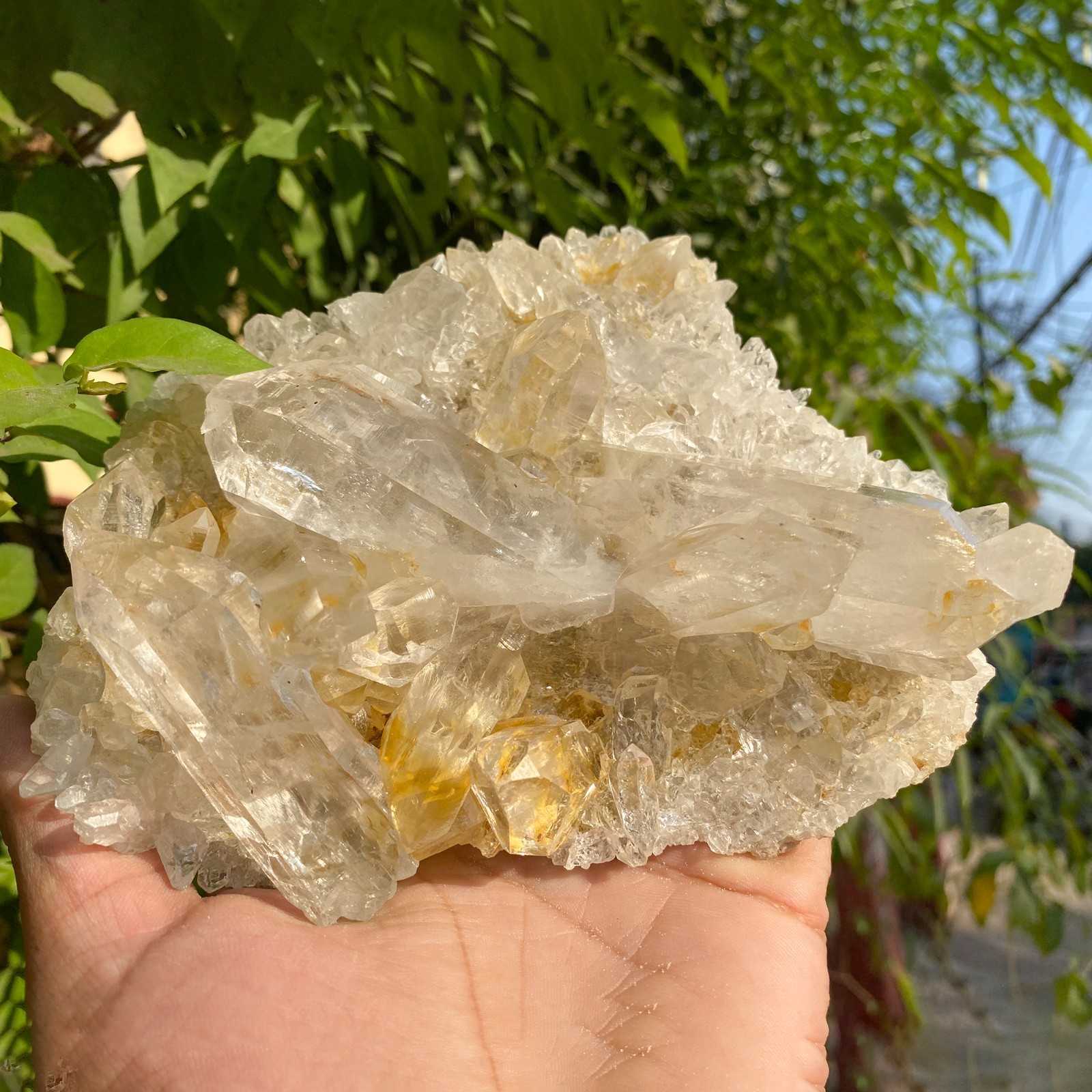 Samadhi Quartz Natural Himalayan Yellow Hue for Energy 1.54 lbs