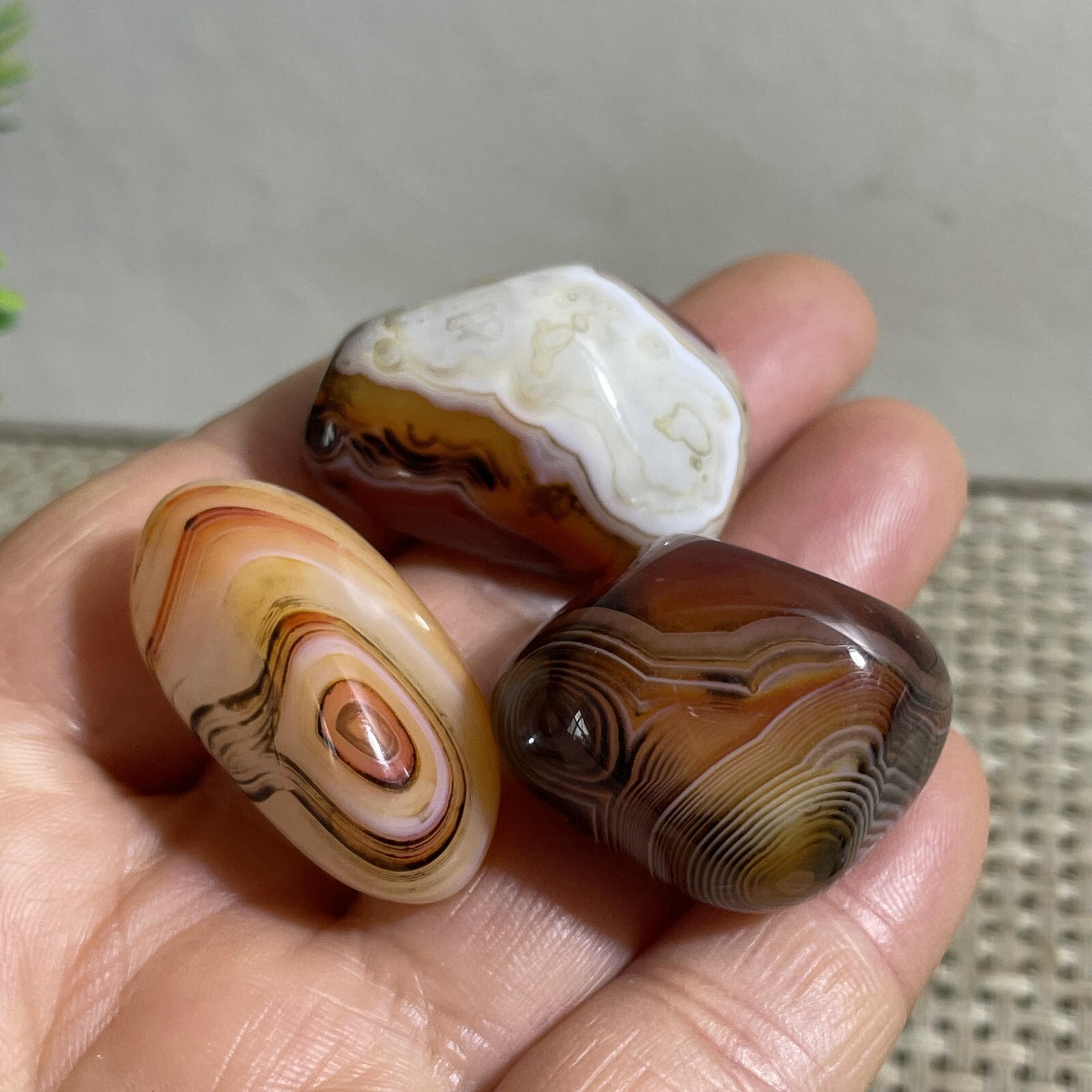 3pc 44g Crazy Lace SILK Banded Agate Polish Tumbled Stone Madagascar