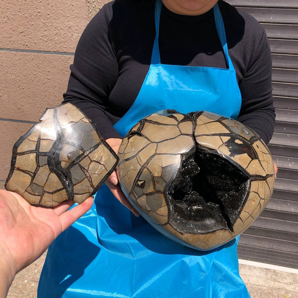 42.59LB Natural Turtle Back Hole Shape Dragon Crystal Crack Gem Reiki Healing