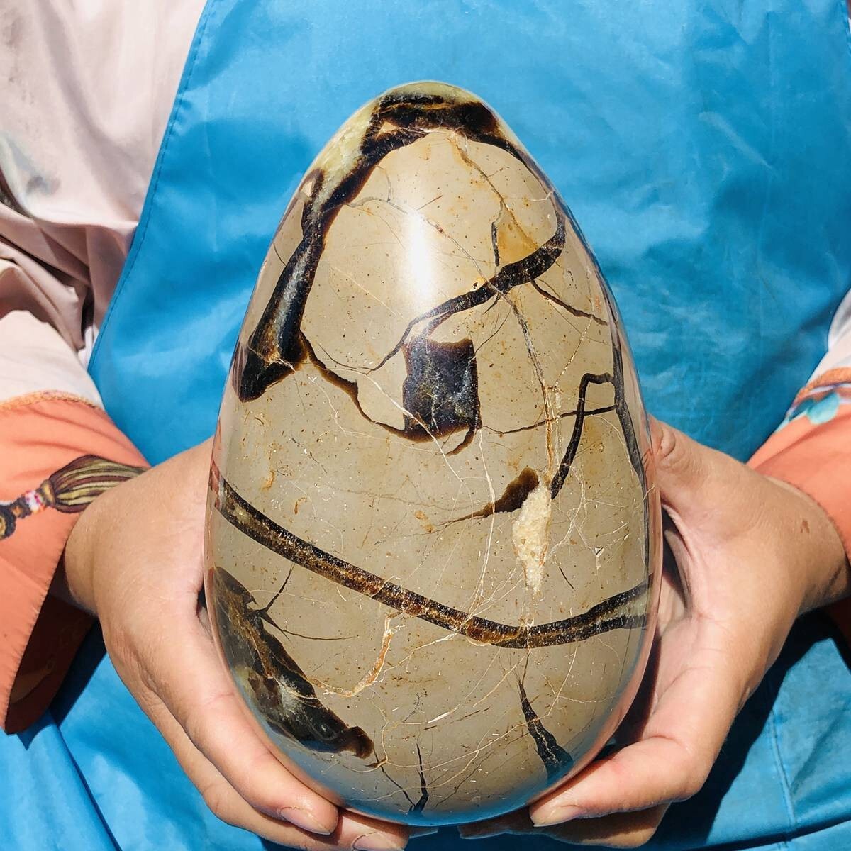 3390G natural turtle shell stone egg spiritual healing KH2124