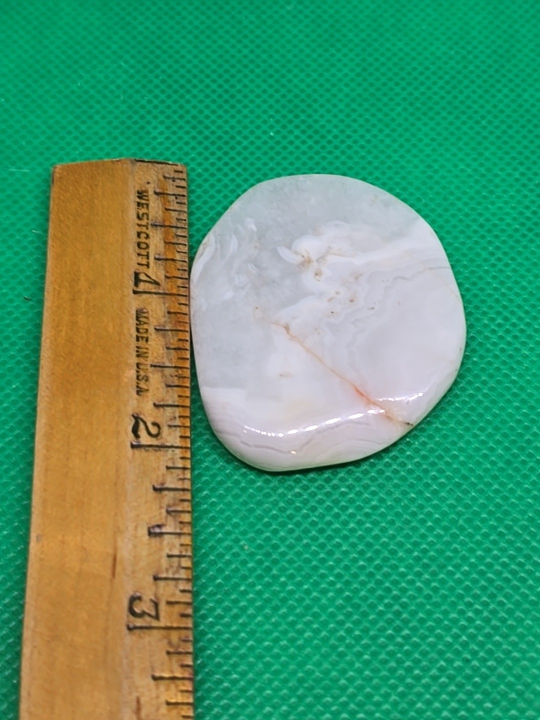 Crazy Lace Agate Palm Stone Palmstone Flat Pocket Polished