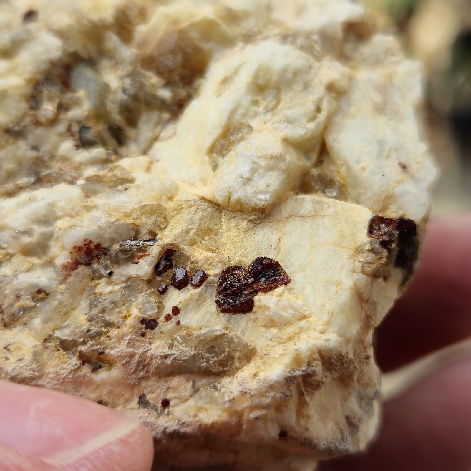 Feldspar Tourmaline W/Garnets Specimen From Mountains of San Diego, California