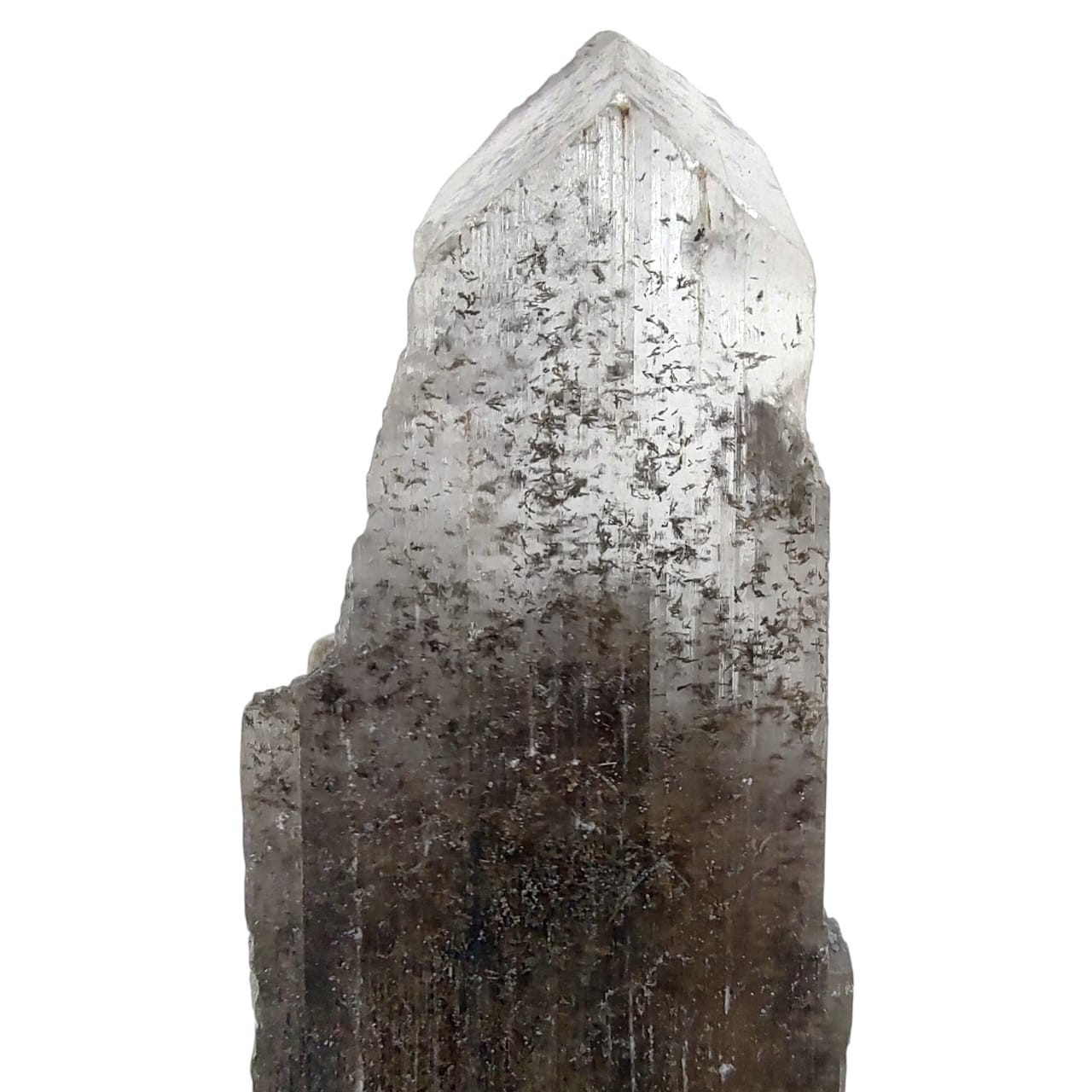 0.79 lbs Rare Ferro Selenite Master Crystal – Phantom Gypsum w Black Iron Oxide