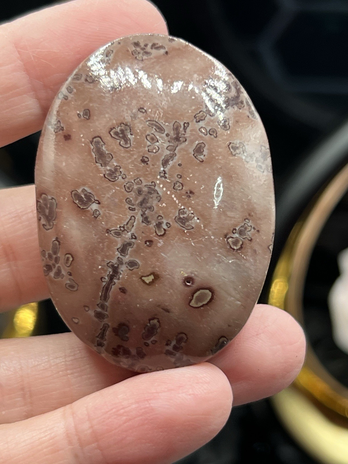 Natural Picture Jasper AMAZING Dendritic Polished Palmstones Free ship & Gift
