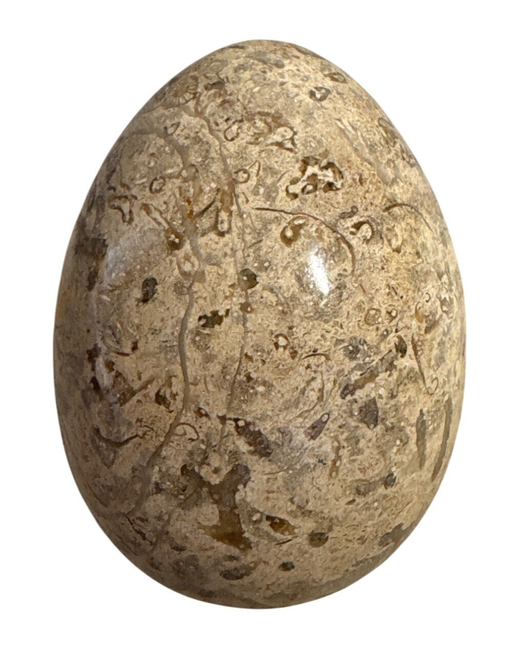 Polished Fossilized Stone Egg With Intricate Natural Patterns Beige Brown 4″