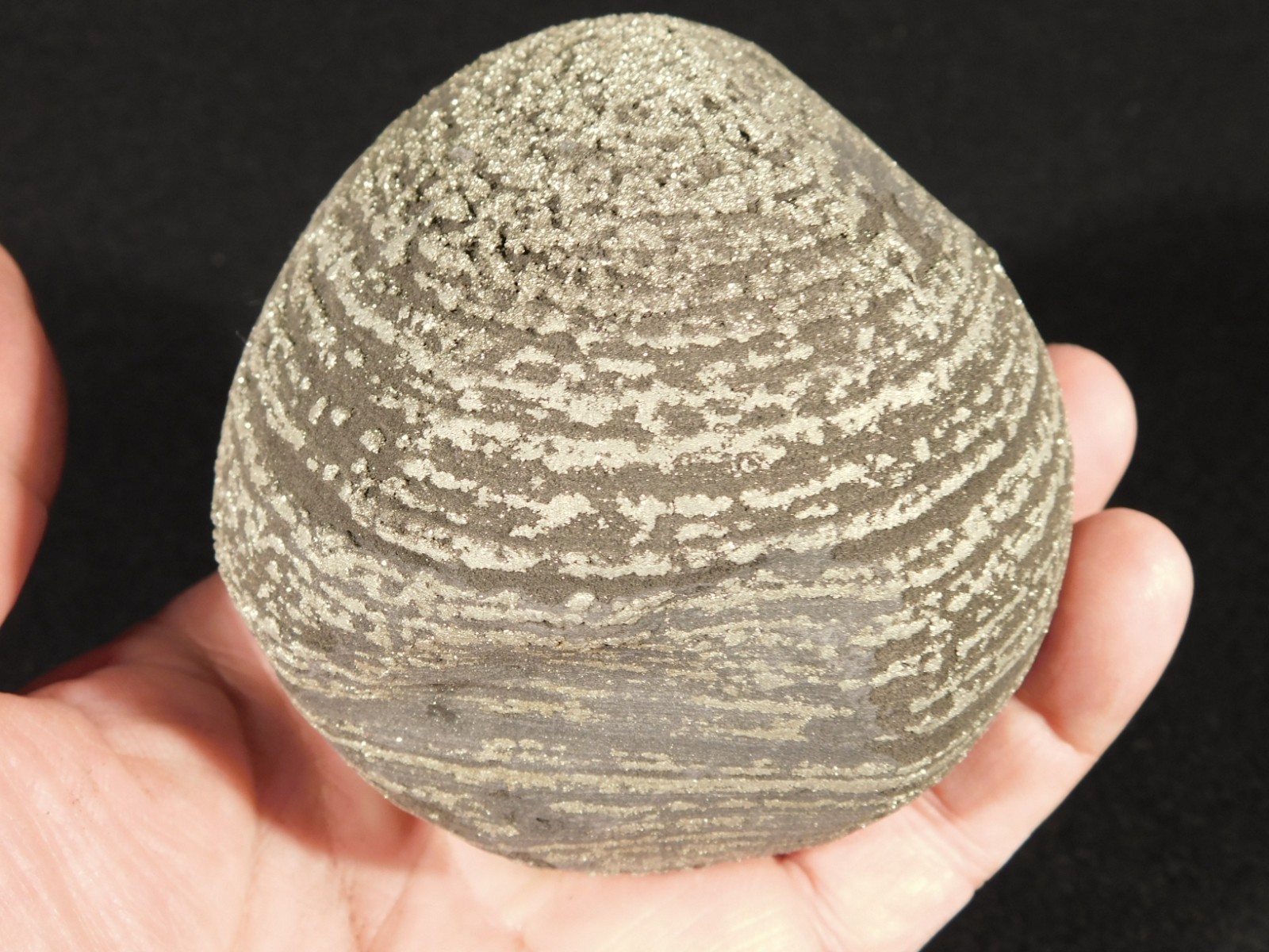 BIG! 100% Natural Ringed PYRITE Nodule From China! With Stand 1010gr