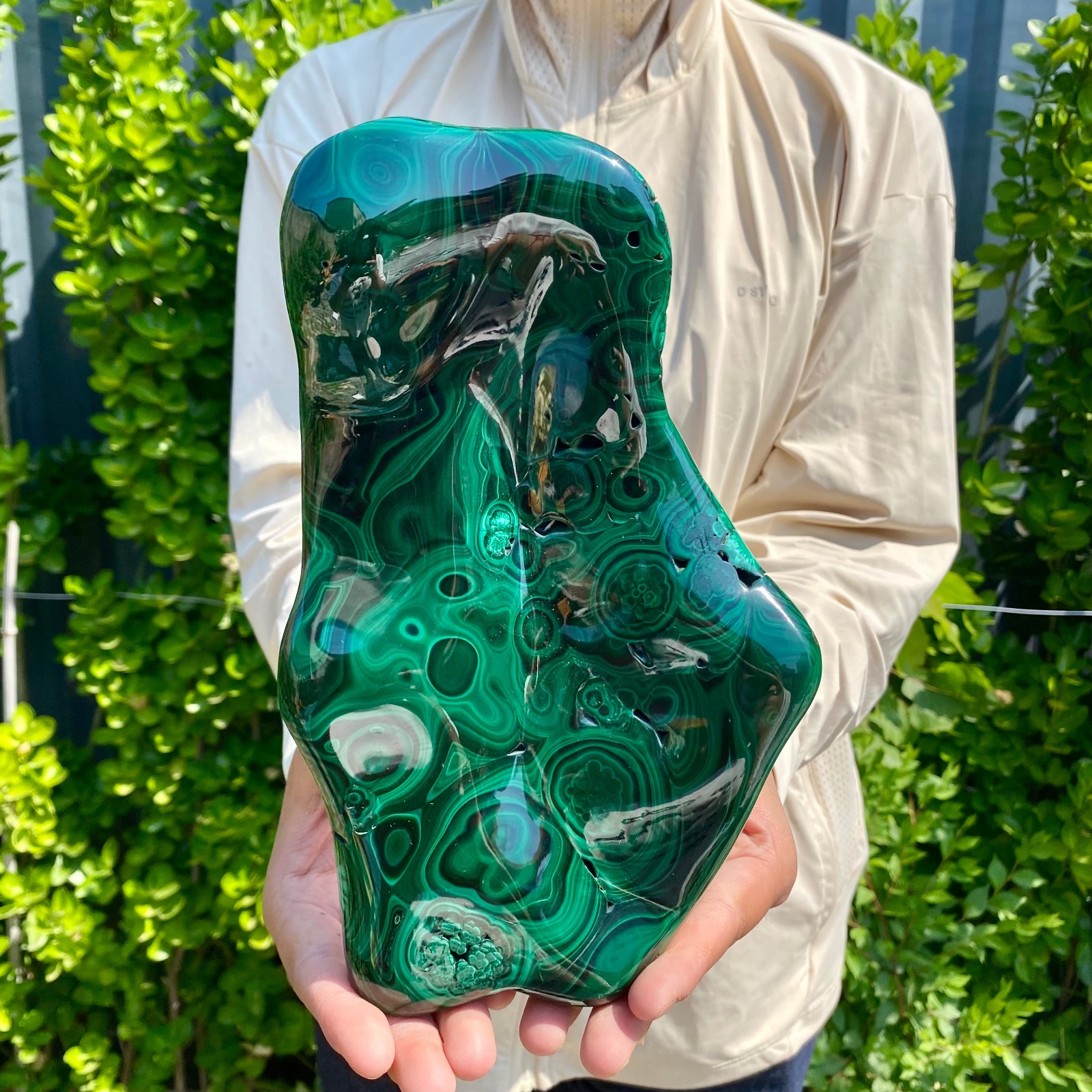 4.85LB Natural glossy Malachite transparent cluster rough mineral sample