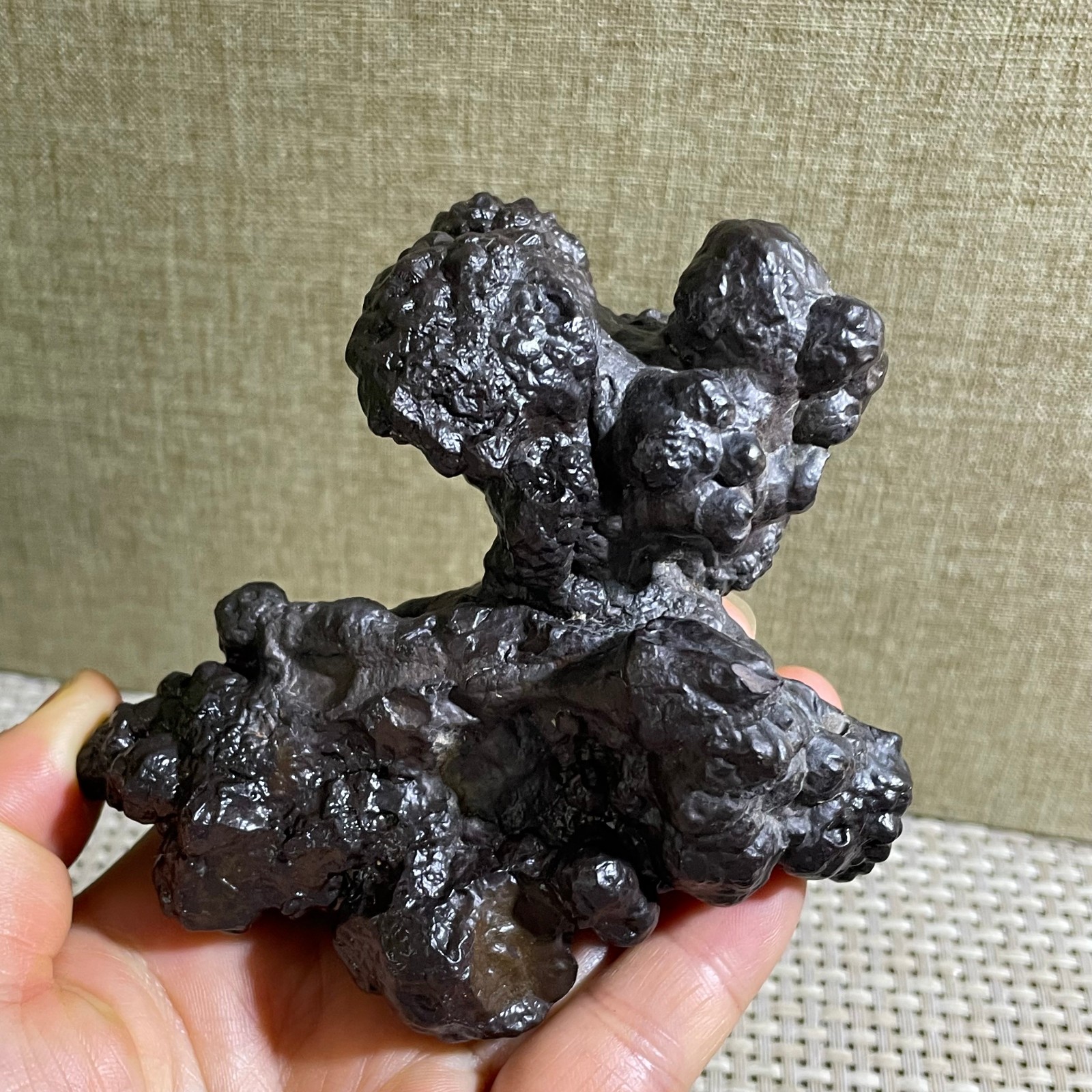 432g Limonite & Hematite pseudomorph after Marcasite Prophecy Rock Stone