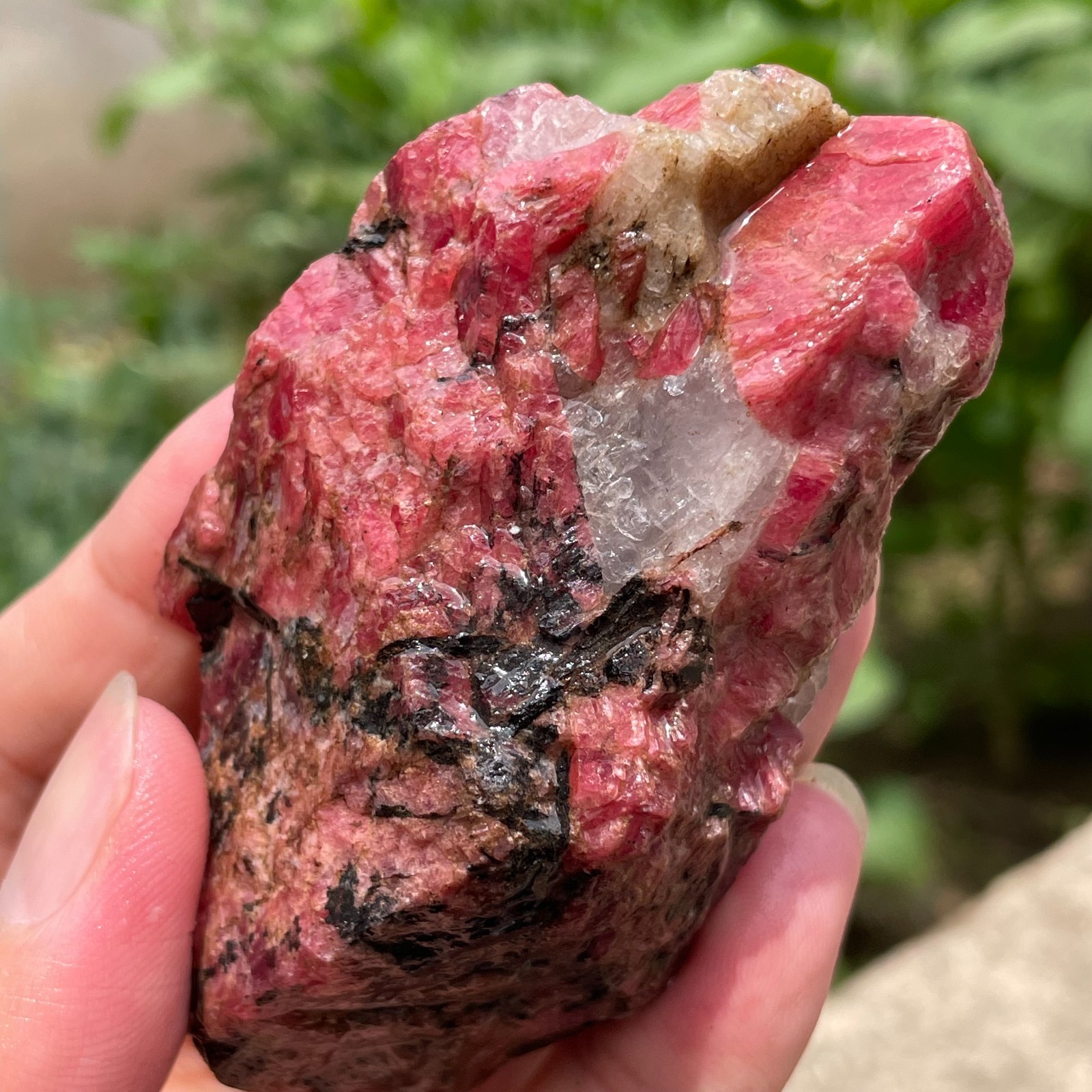 166g Small Raw Ore Red Black Rhodonite Quartz Gemstone Mineral Specimen