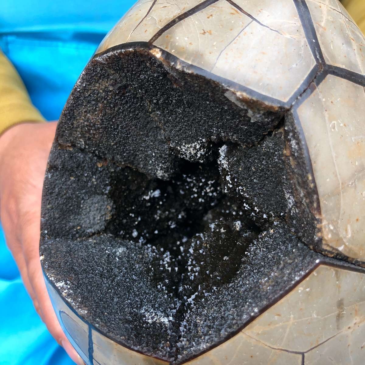 7.23 LB Natural Septarian Turtle Shell Geode Dragon Egg Crystal Healing 4351