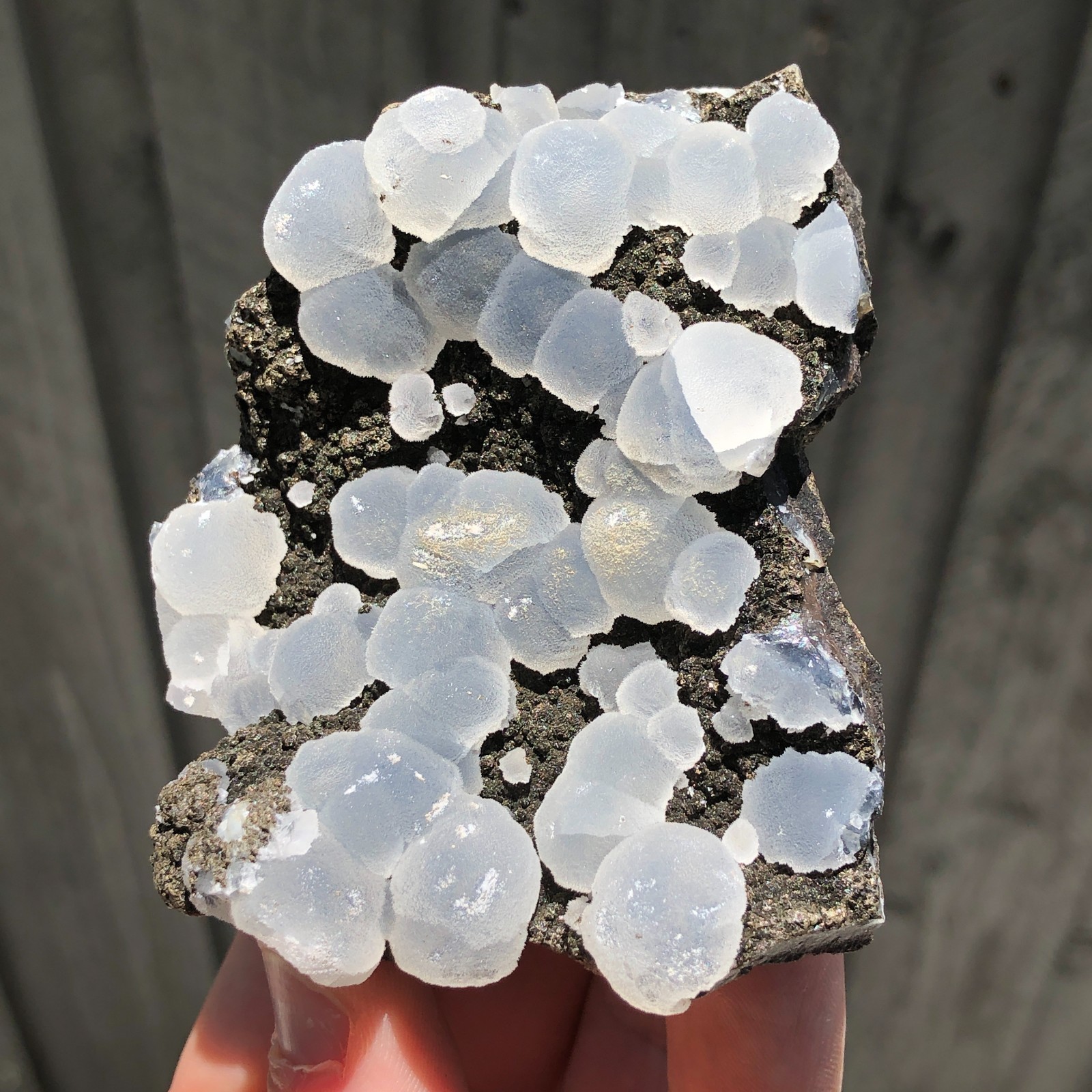 8.2cm Frosted Botryoidal Chalcedony Crystals on Matrix from India