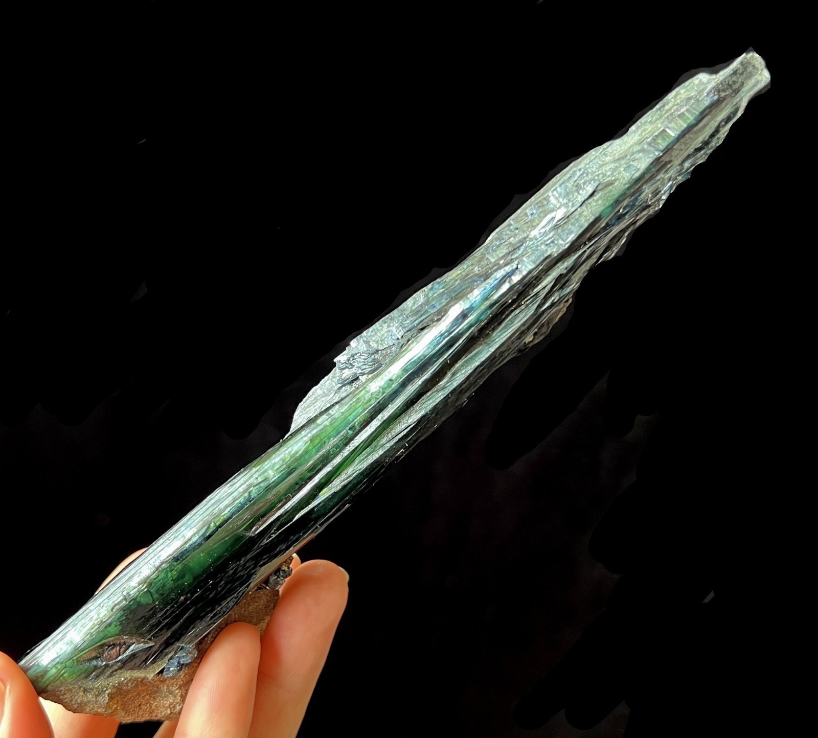 LARGE – 165mm Gemmy Vivianite mined from Brazil, Natural Mineral Specimen
