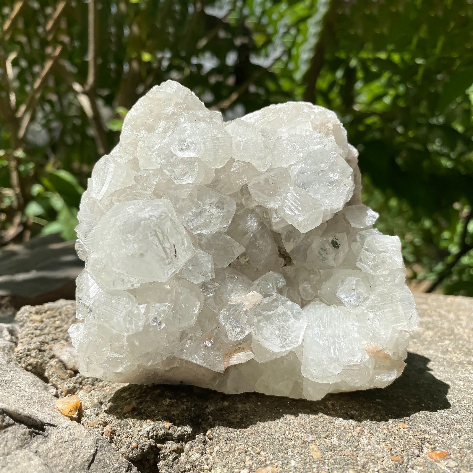 Apophyllite Cluster -Raw Crystal Cluster – Intuition 1.41 LBS – Witchy Decor