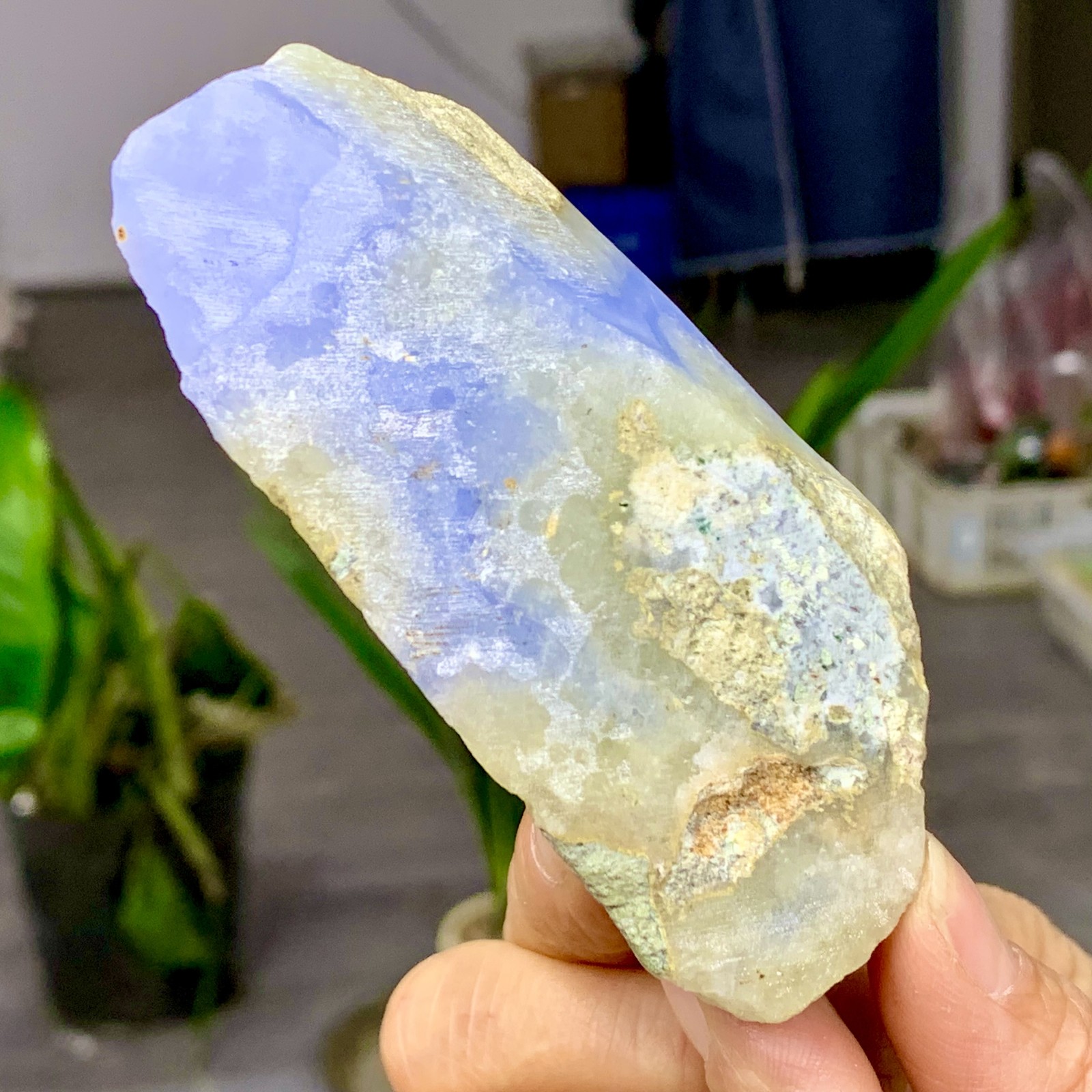 202G Natural blue textured agate specimens Healing
