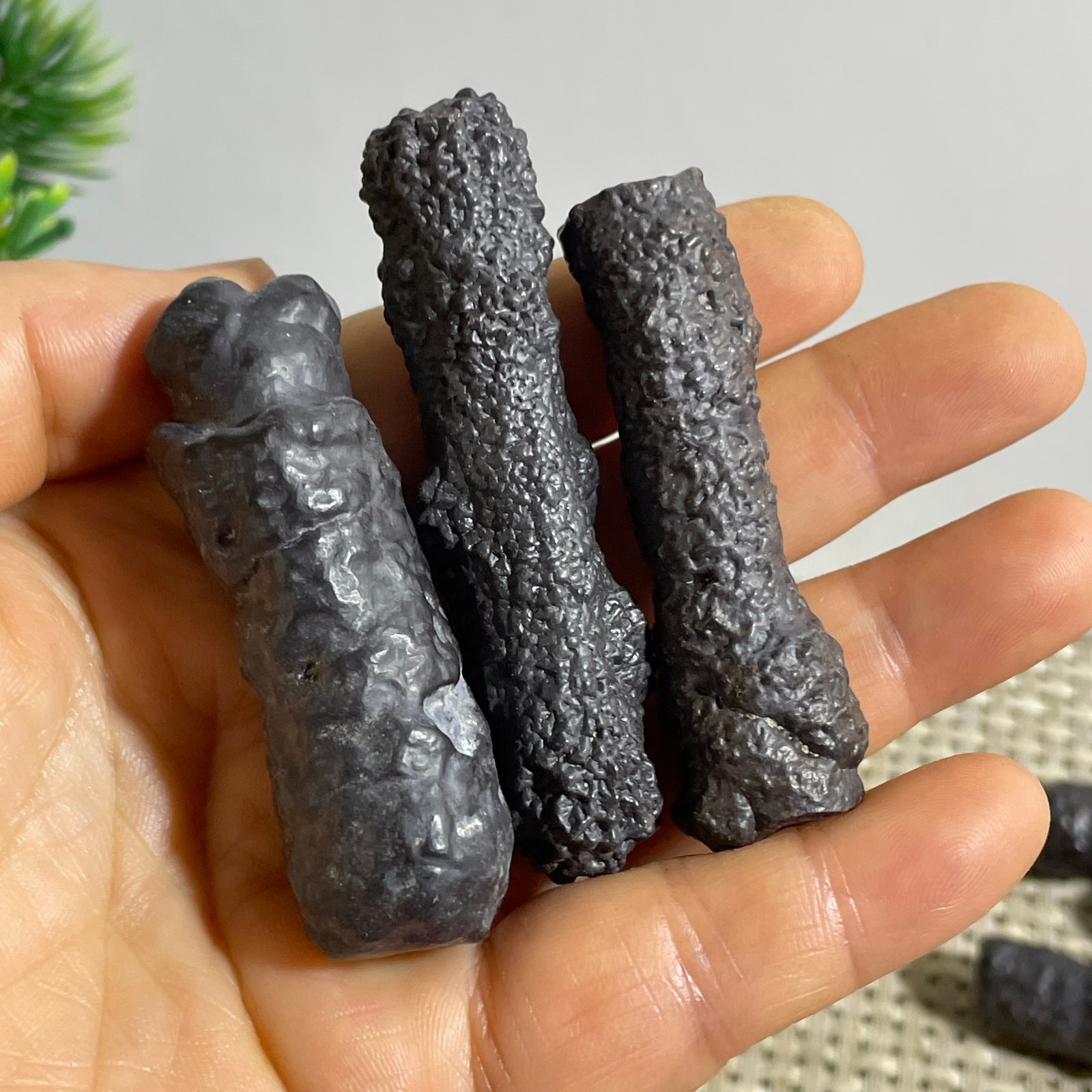 106g Limonite & Hematite pseudomorph after Marcasite Prophecy Rock Stone 3pcs