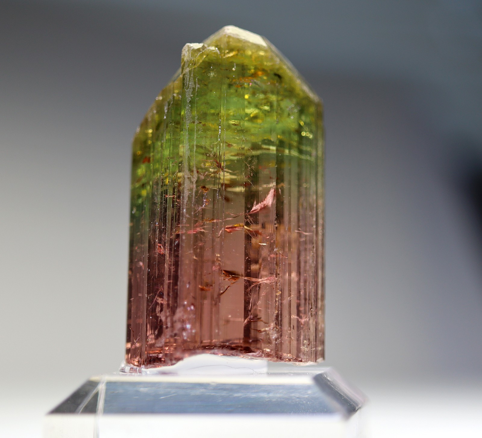 Gem Tourmaline. Nuaparra Pegmatite, Zambezia Prov., Mozambique. About 50 grams