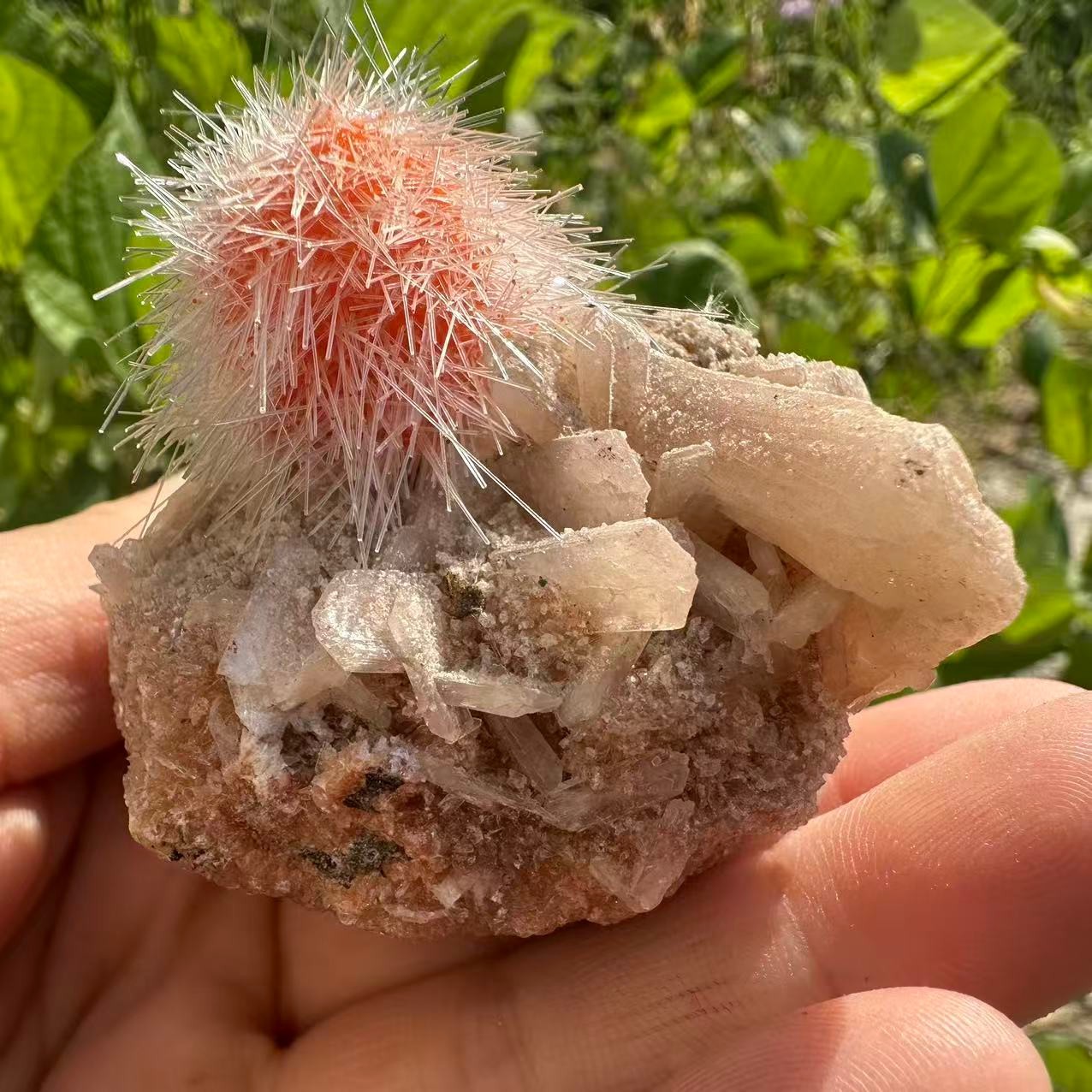 95g Dandelion Zeolite Quartz Crystal Cluster Mineral Quartz Crystal Specimens