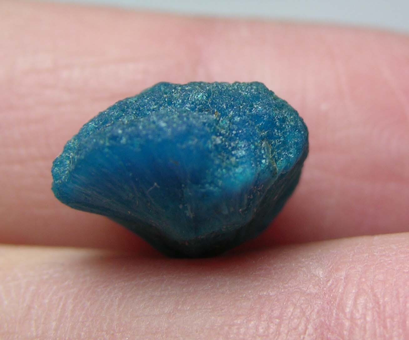 #3 India 100% Natural Electric Blue Cavansite Crystal Flower Specimen 17.00mm