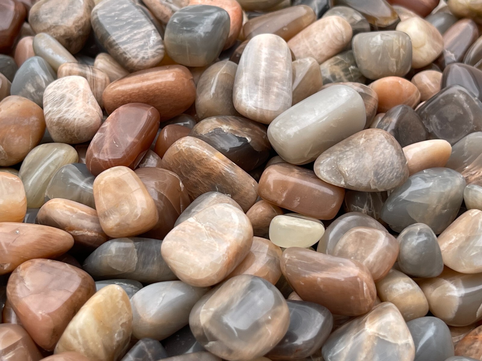 Grade A++ Moonstone Multi Tumbled Stones, 0.75-1″ Tumbled Multicolored Moonstone