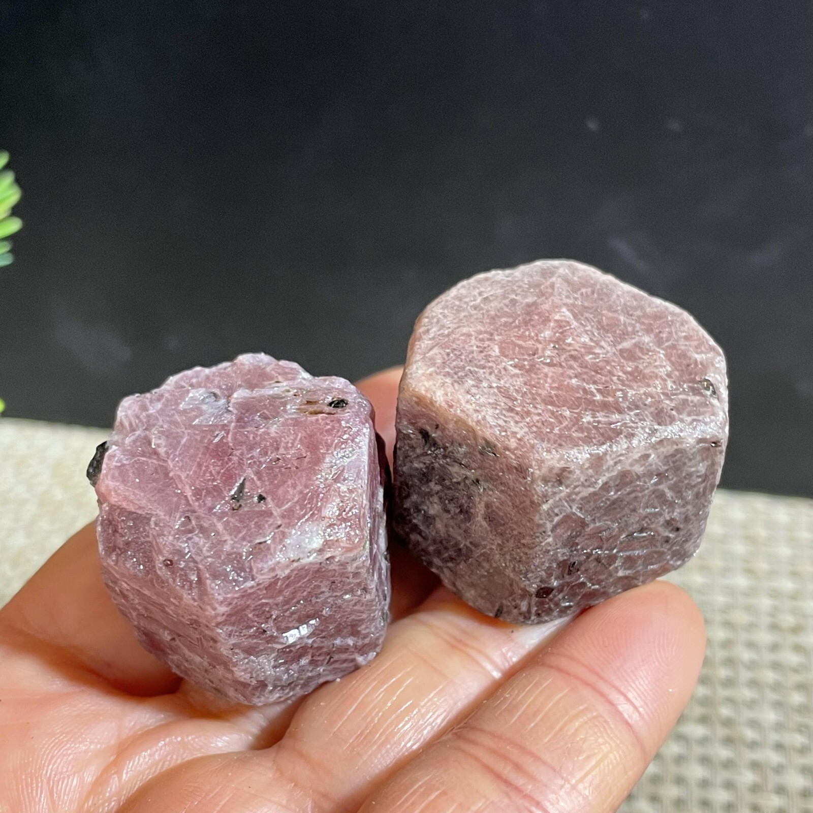 2pc 126g Natural Red Corundum Ruby Crystal Rough Mineral Specimen