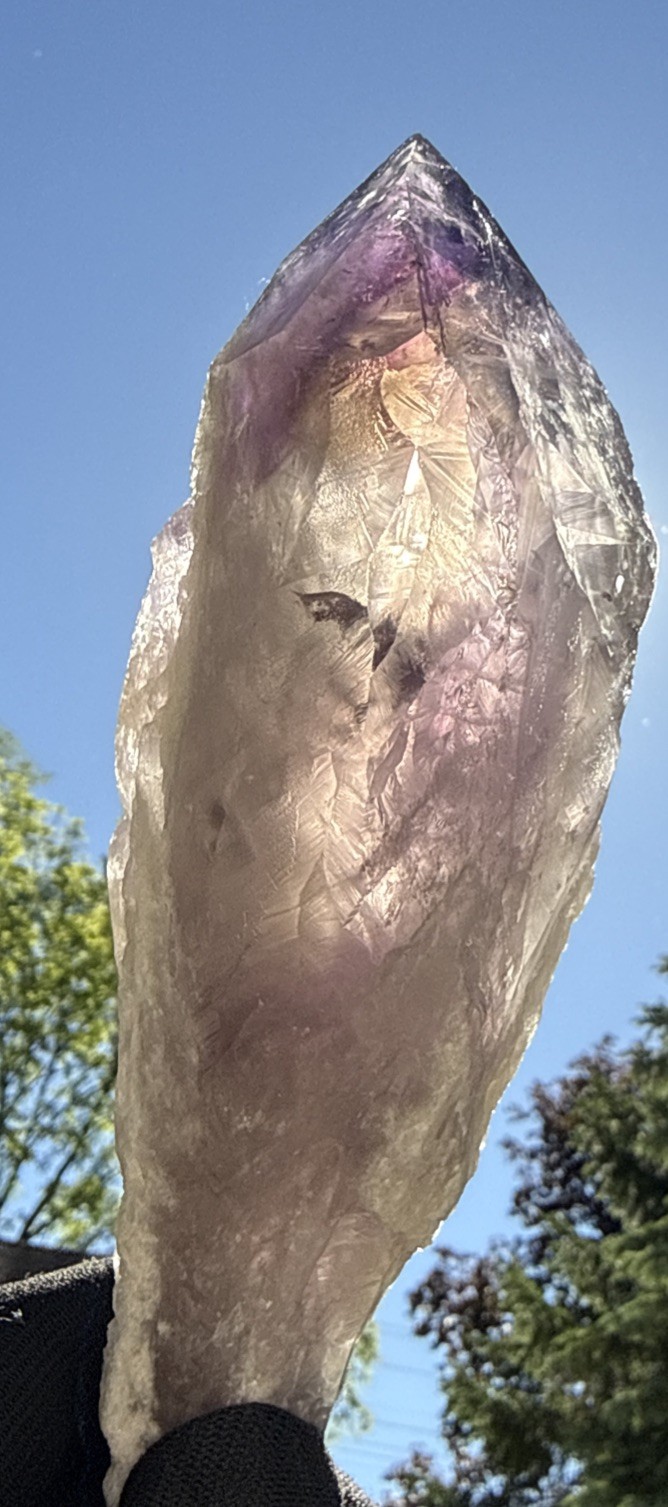 1 LB A+Natural Phantom Brazilian Large Point 7” Amethyst Root Specimen,Minerals