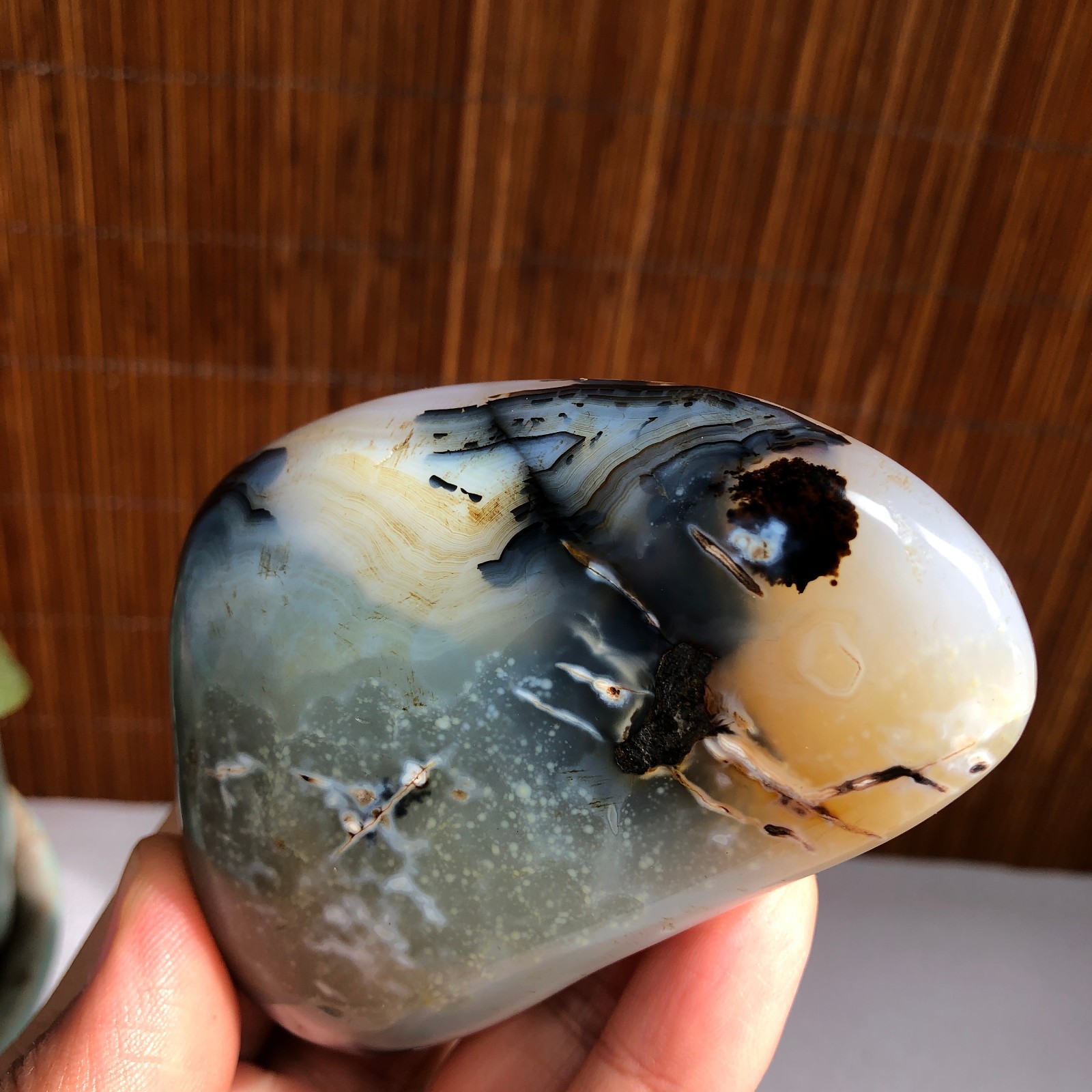 80mm Natural aquatic plants agate pretty Crystal specimens 235g A1485