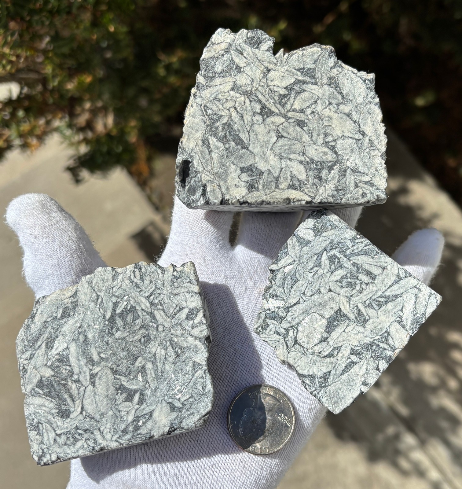 1lb+ LOT PINOLITH JASPER ROUGH LARGE SPECIMENS SPECIMEN 1 POUND LARGE CHUNKS