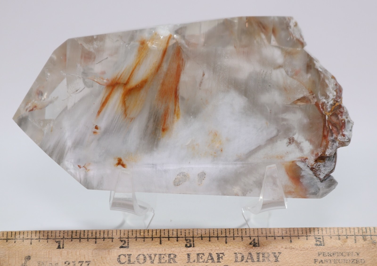 Museum-Grade Amphibole in Quartz Minas Gerais Brazil 131 mm. 5+ inches COA 2825