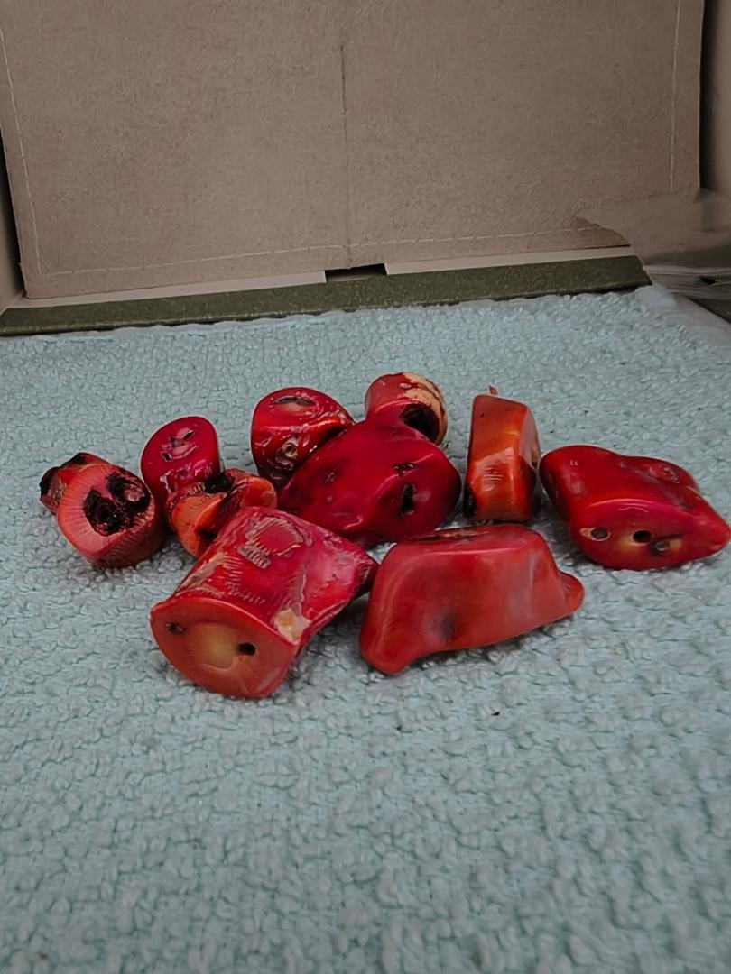 Authentic Red/Orange Coral Raw Predrilled Gemstone for Jewelry 11 Pieces 5.5 oz.