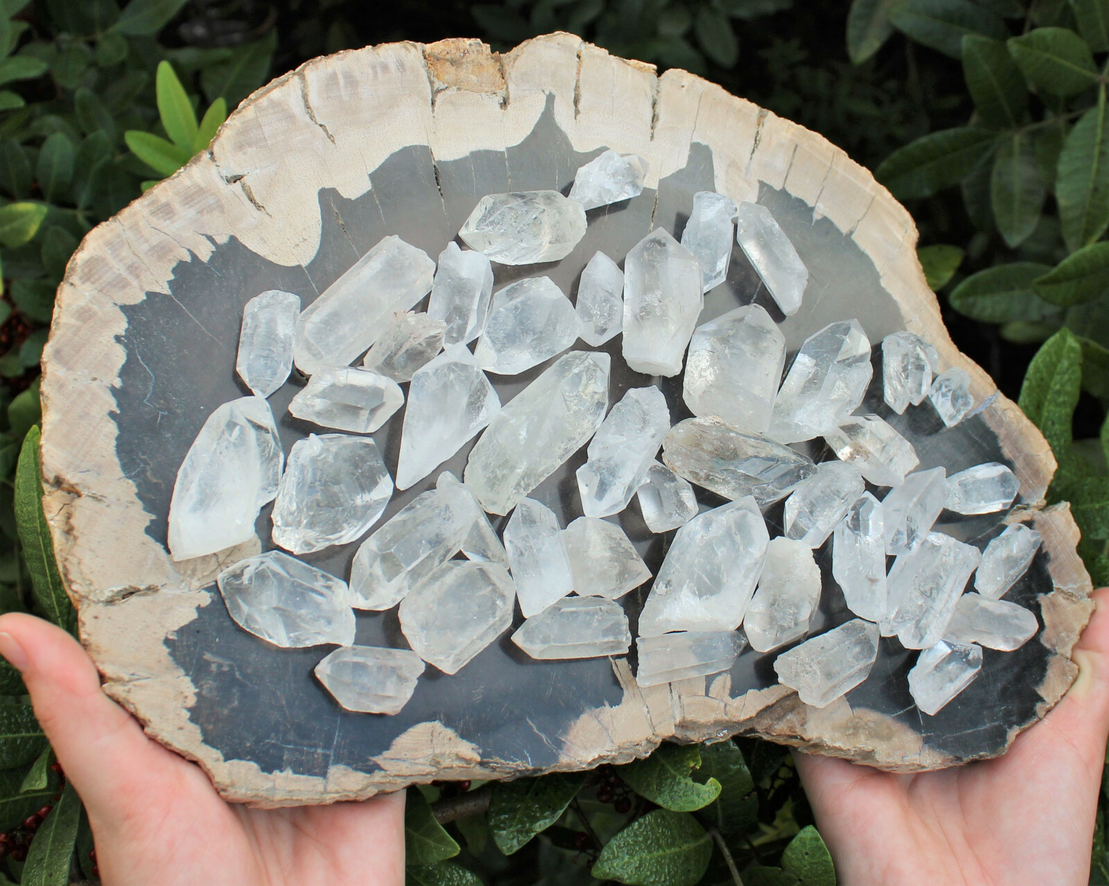 50g Lot Natural Clear Quartz Crystal Points Wand, Healing Crystals (250 Carat)