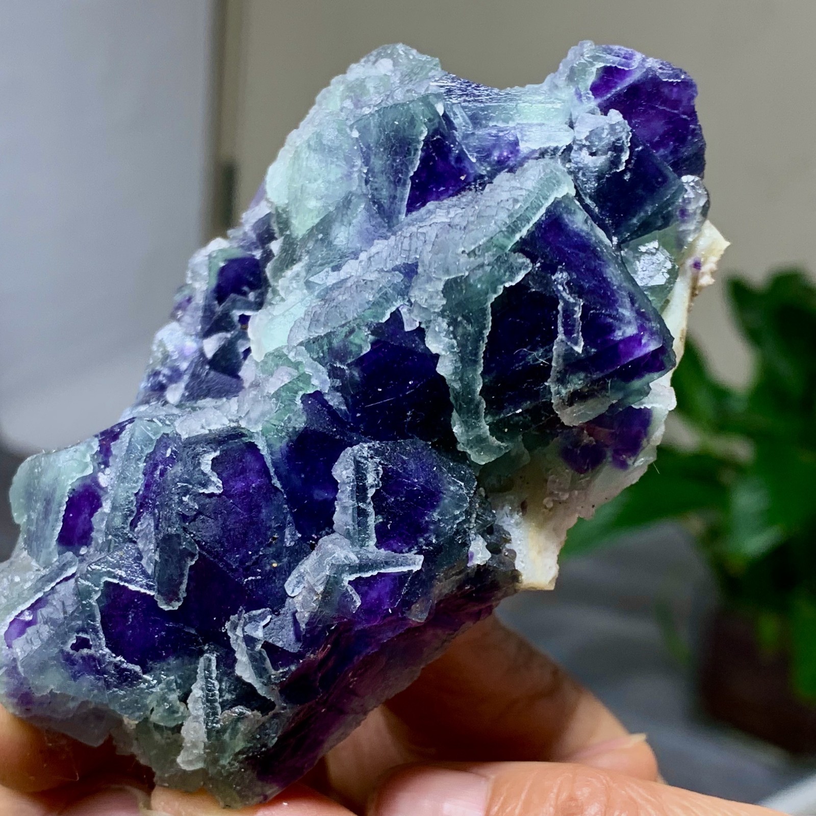 294G Rare transparent purple octahedron fluorite mineral crystal sample/China