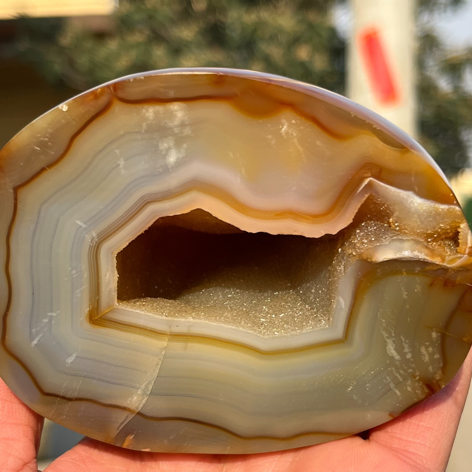 731g Rare Natural Carnelian Geode Agate Quartz Crystal Mineral Healing