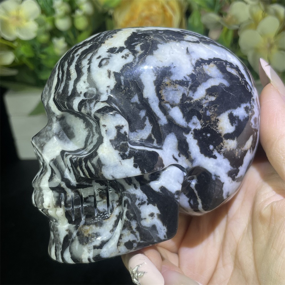 2LB 3.9″ Natural Black And White Zebra Jasper Skull Carving Crystal Quartz Decor