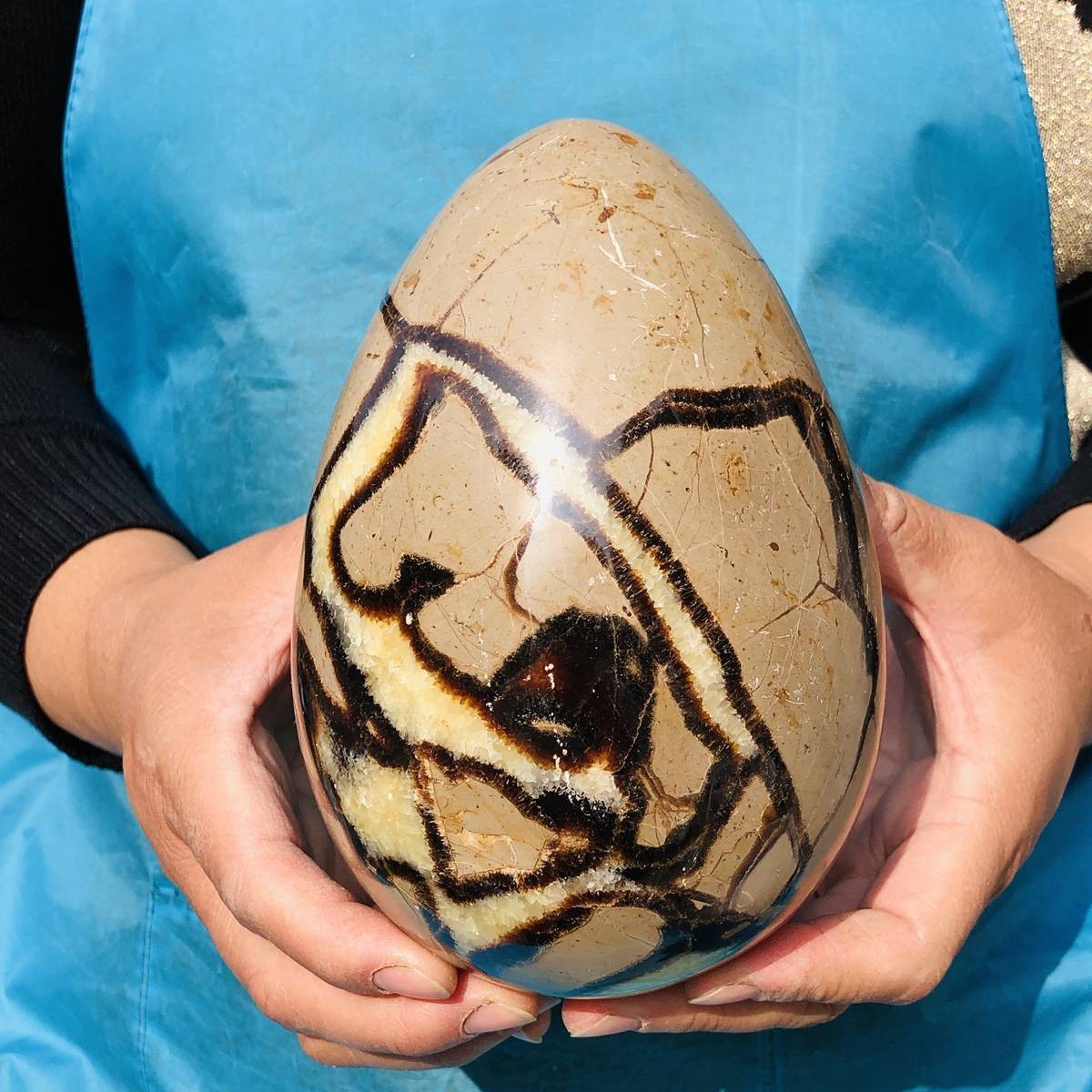 5.06LB Natural Turtle Back Stone Egg Shape Dragon Crystal Crack Healing
