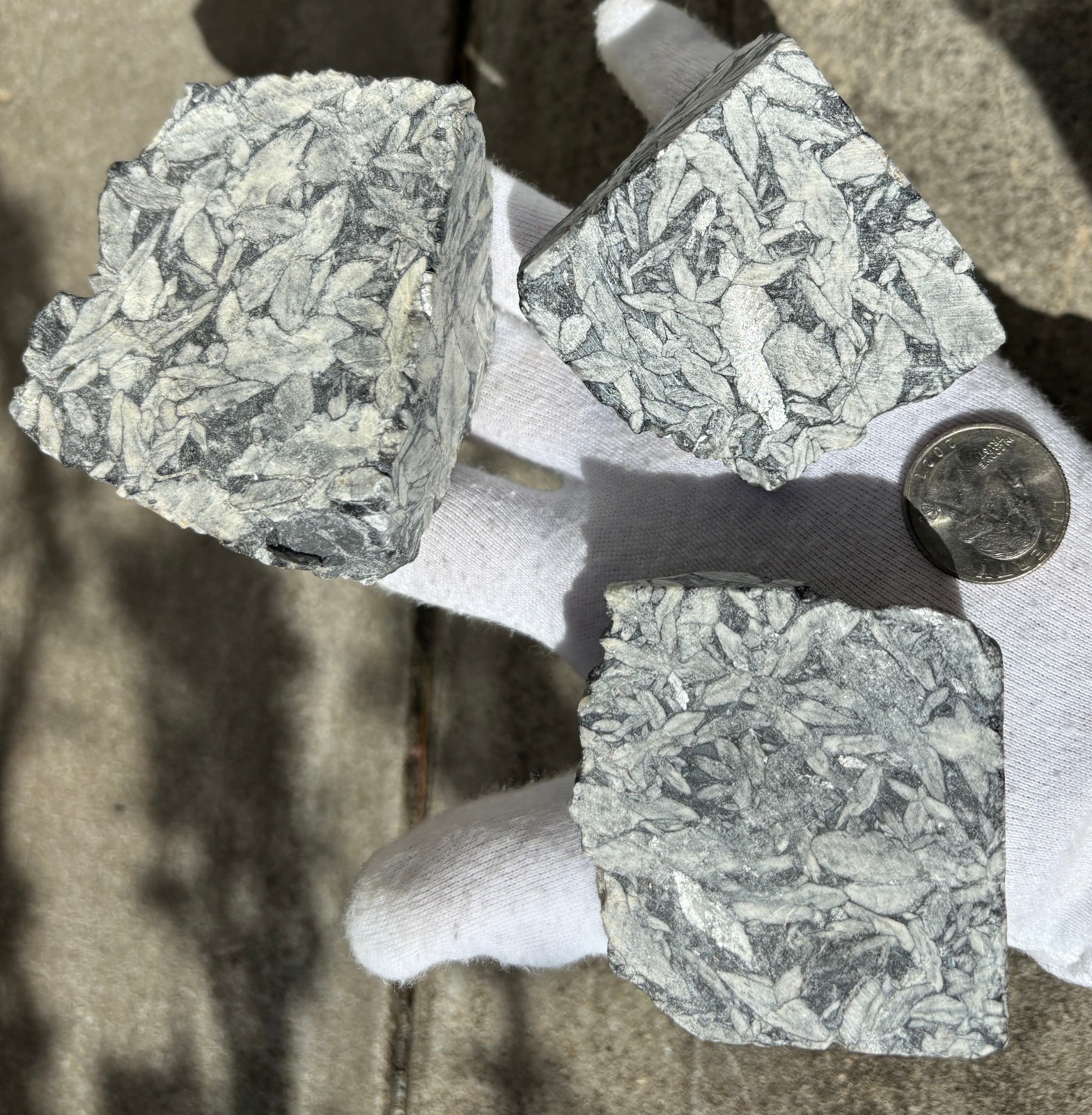 1lb+ LOT PINOLITH JASPER ROUGH LARGE SPECIMENS SPECIMEN 1 POUND LARGE CHUNKS