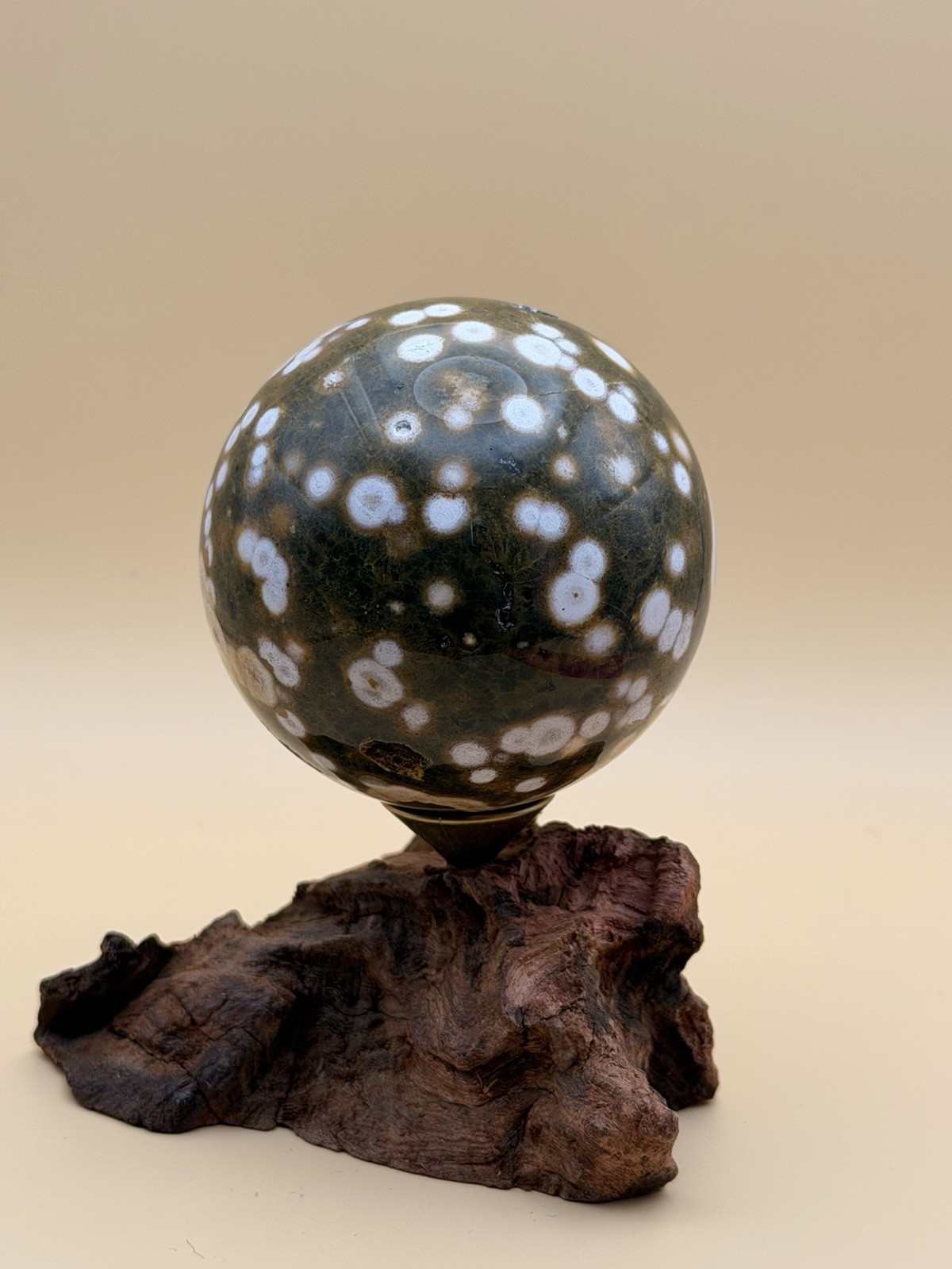 Rare 8th Vein Ocean Jasper Sphere Orbicular Reiki Healing Natural Crystal 2”