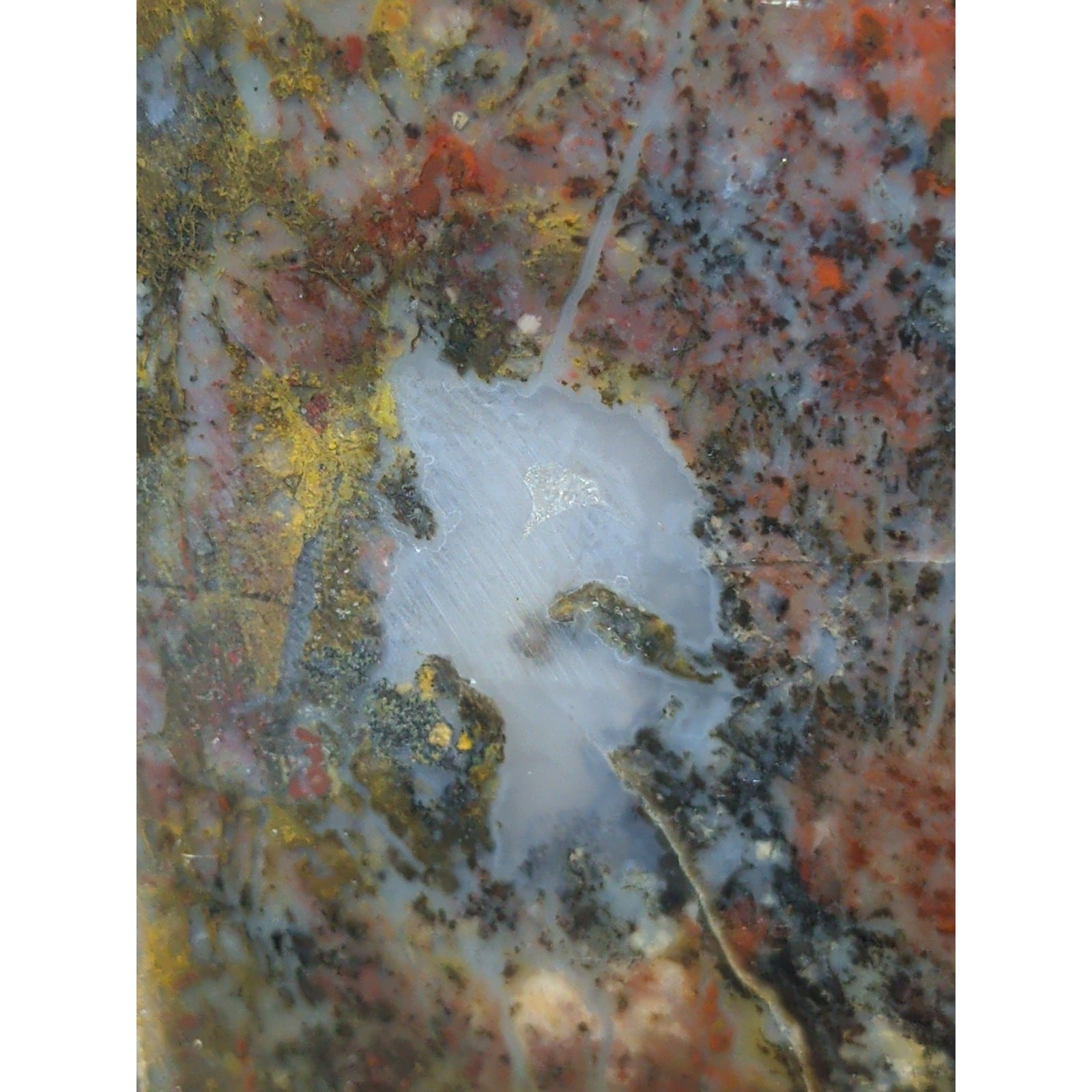 Jasper Dendric Multicolored Polished Slab Specimen (165 Grams)
