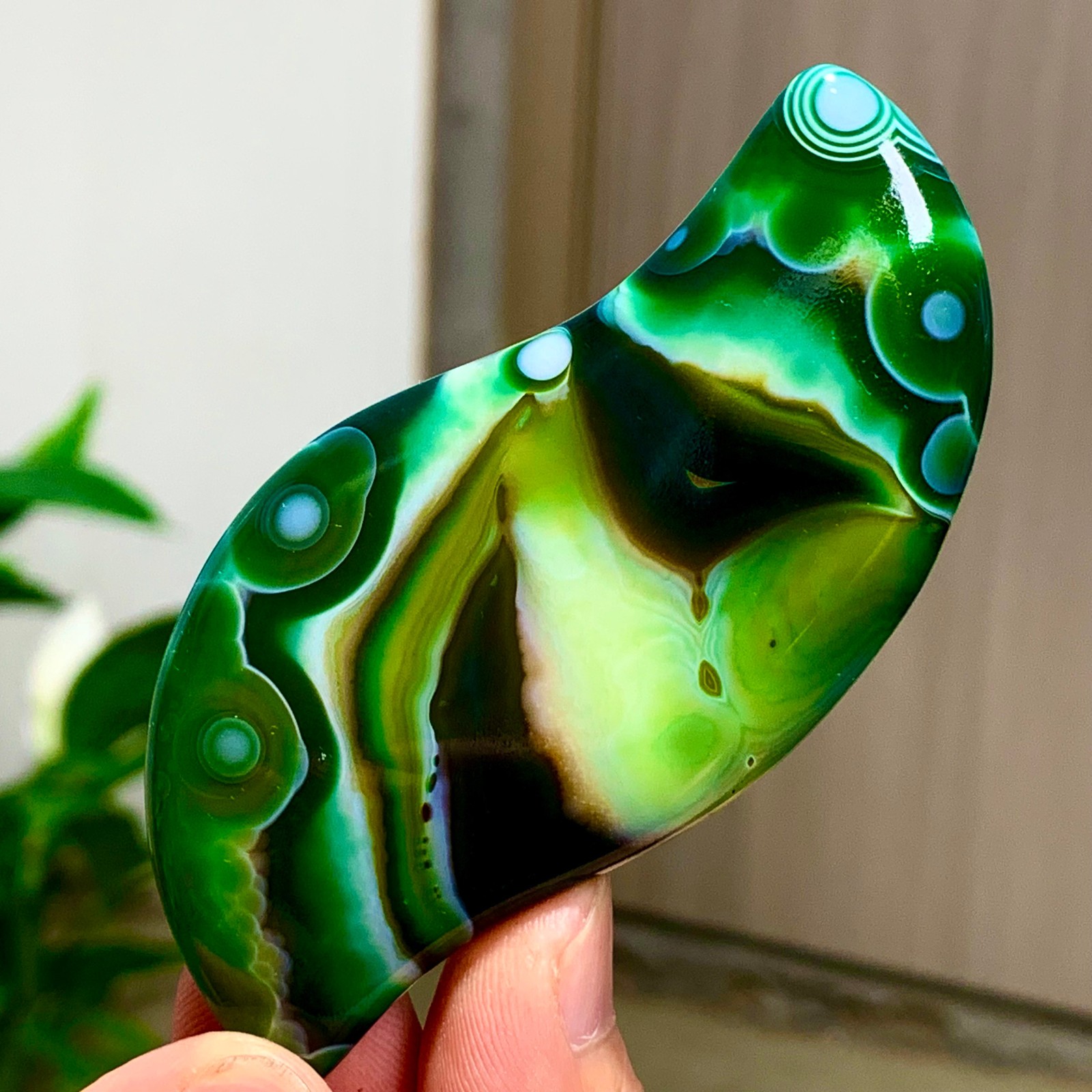 50g Natural Gobi Thousand Eyed Agate tumble palmstone Shape Reiki Chakra Healing