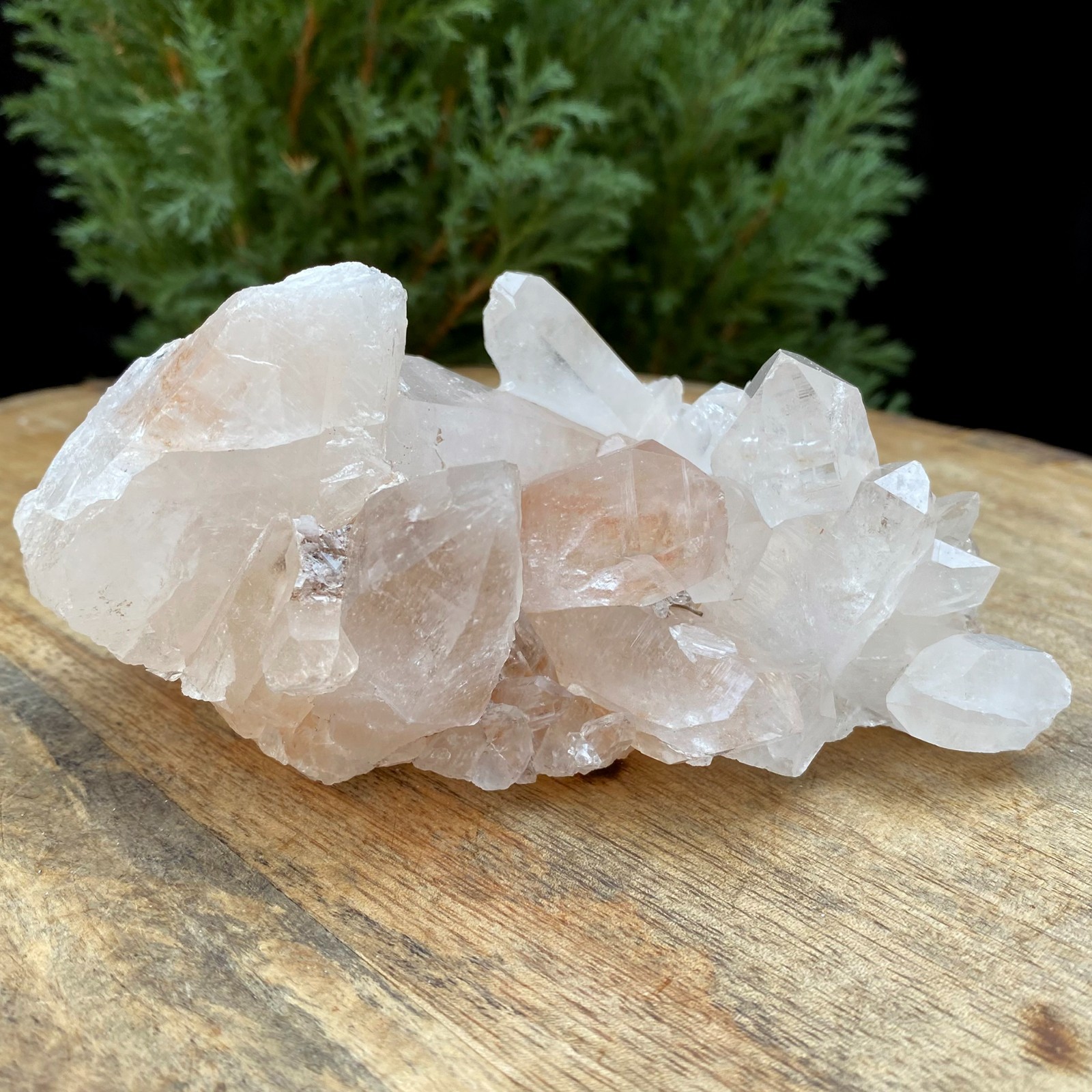 Healing Himalayan Samadhi Pink Quartz Raw Stone 365g Energy Minerals
