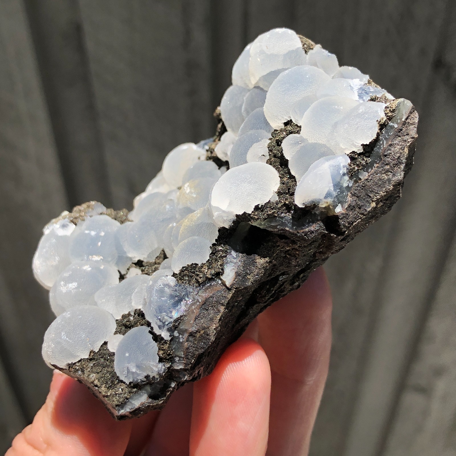8.2cm Frosted Botryoidal Chalcedony Crystals on Matrix from India