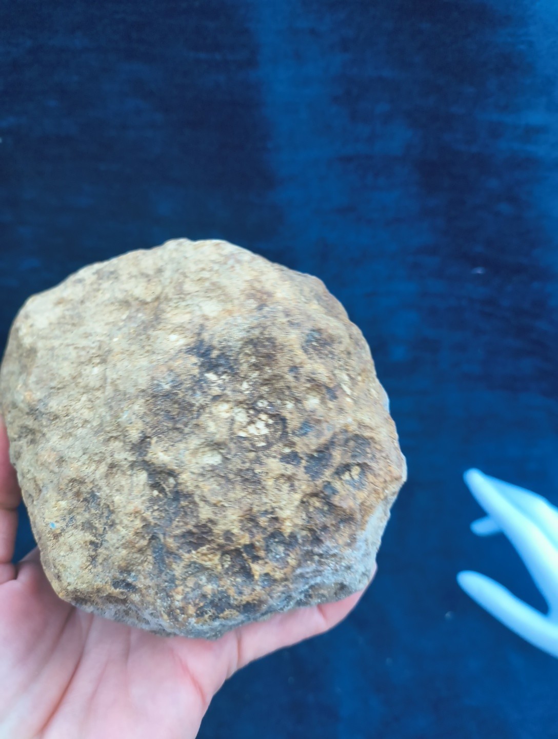 Large Kentucky Geode 3–5 inch – Crack Open Giant Quartz Crystal Rock – Authentic