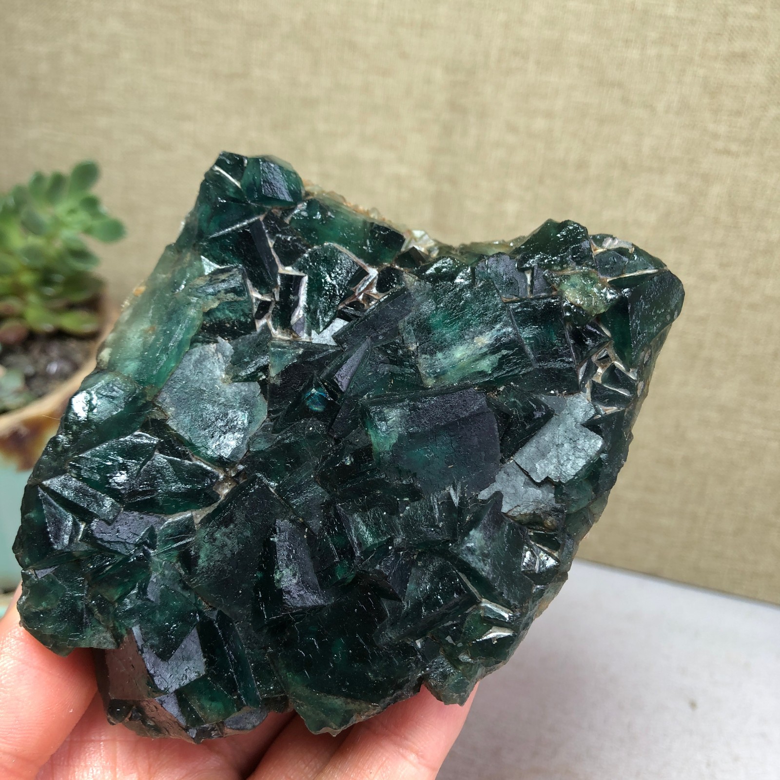 345g NATURAL Green Cubic FLUORITE Crystal Cluster Mineral Specimen A4719